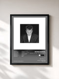 Peter Gabriel · Shaking The Tree - 16 Golden Greats (Remastered)