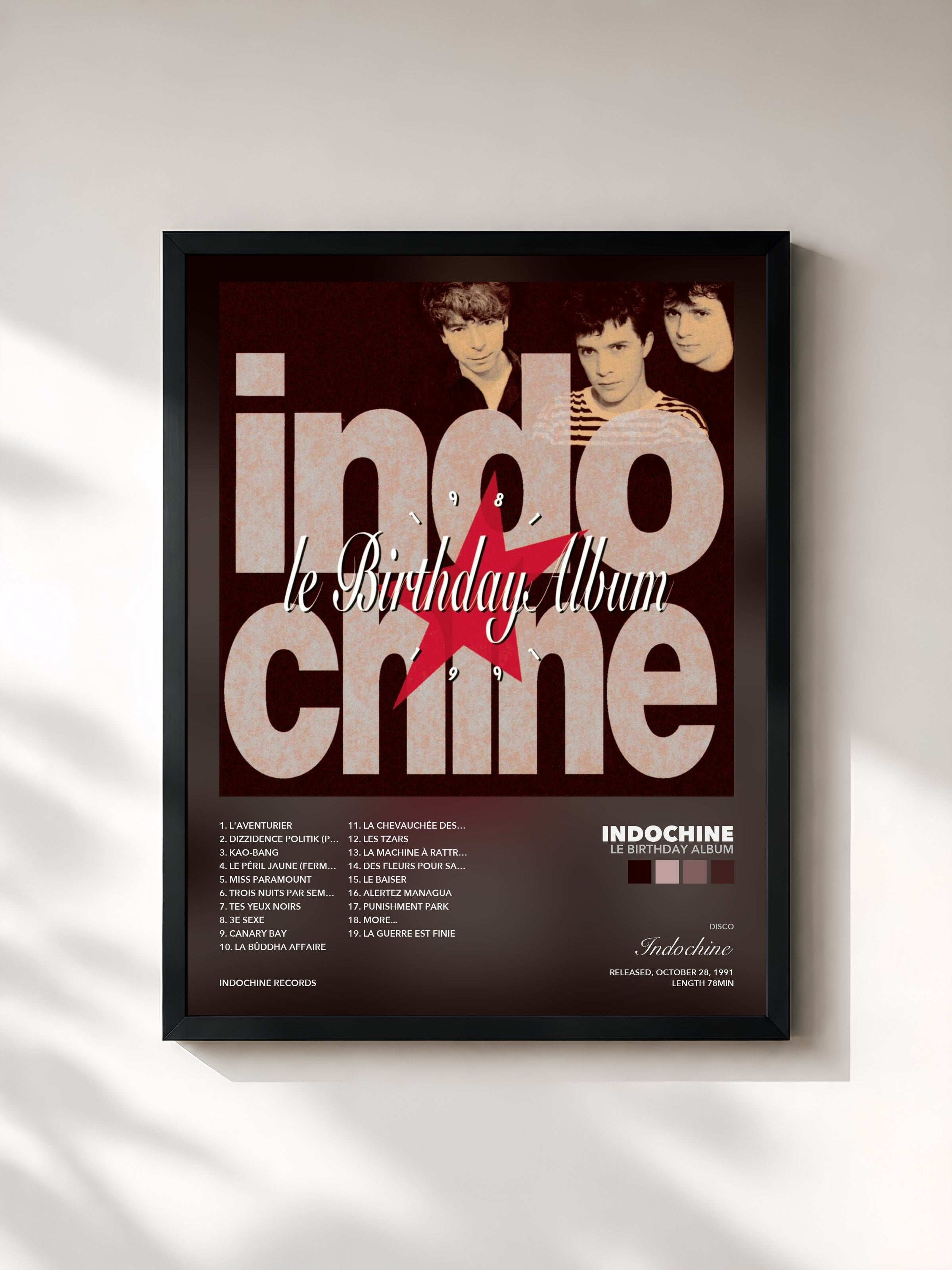 Tableau de l'album Le Birthday album de Indochine, imprimé et encadré en France
