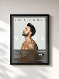 Luis Fonsi · VIDA