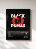 Black Pumas · Black Pumas