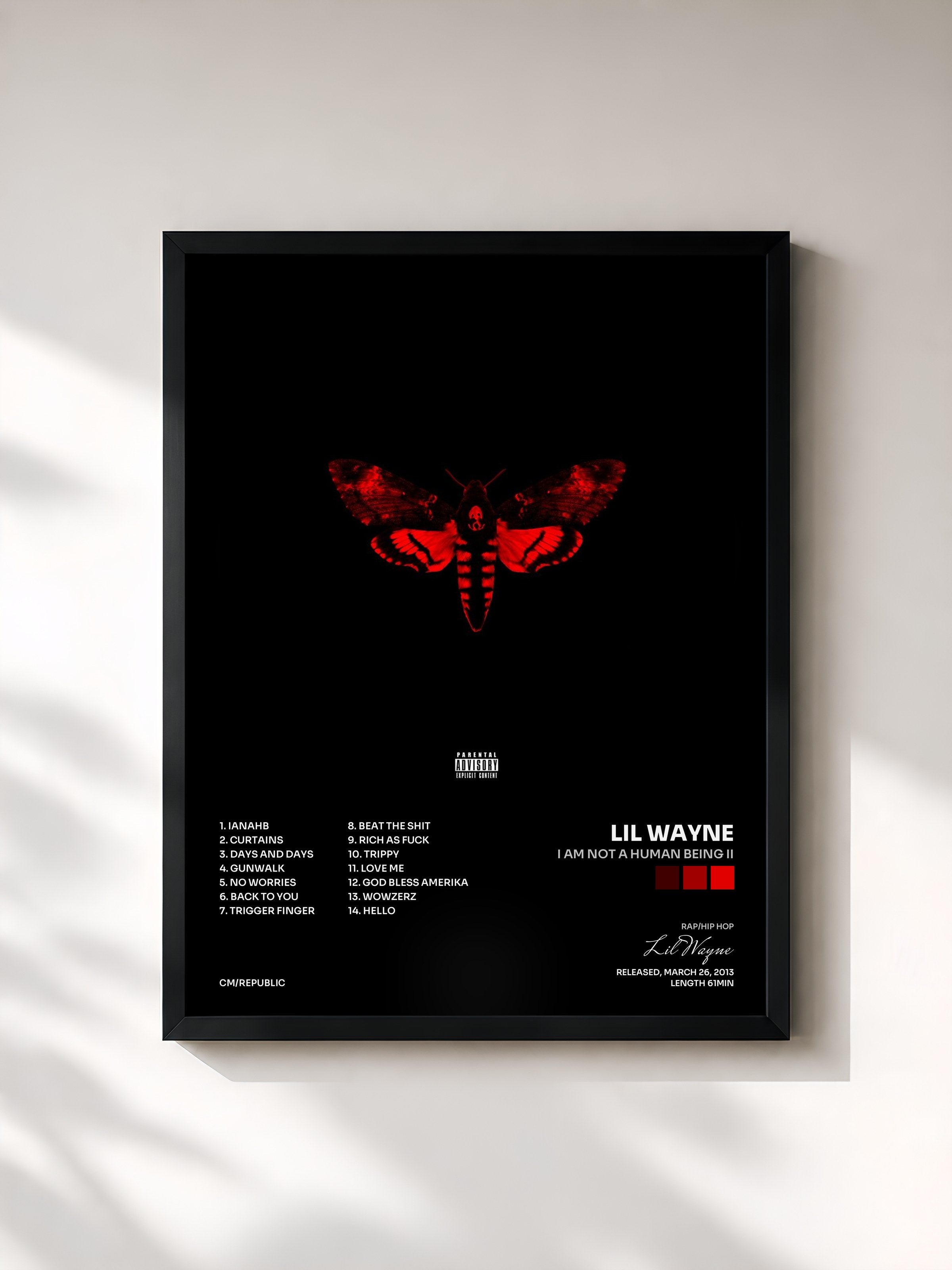 Lil Wayne · I Am Not A Human Being II