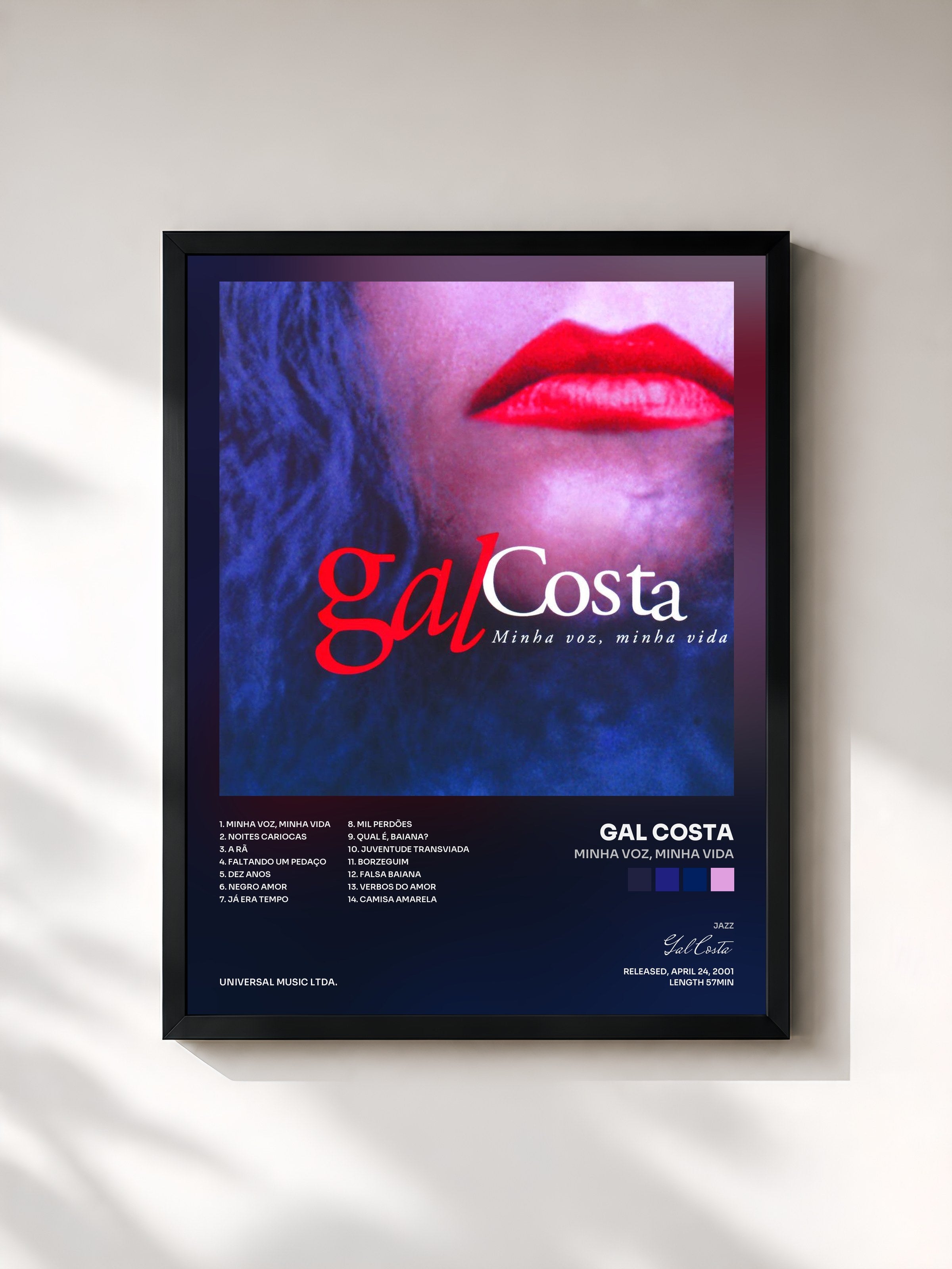 Gal Costa · Minha Voz, Minha Vida
