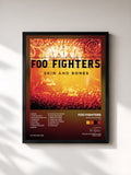 Foo Fighters · Skin And Bones (Live)