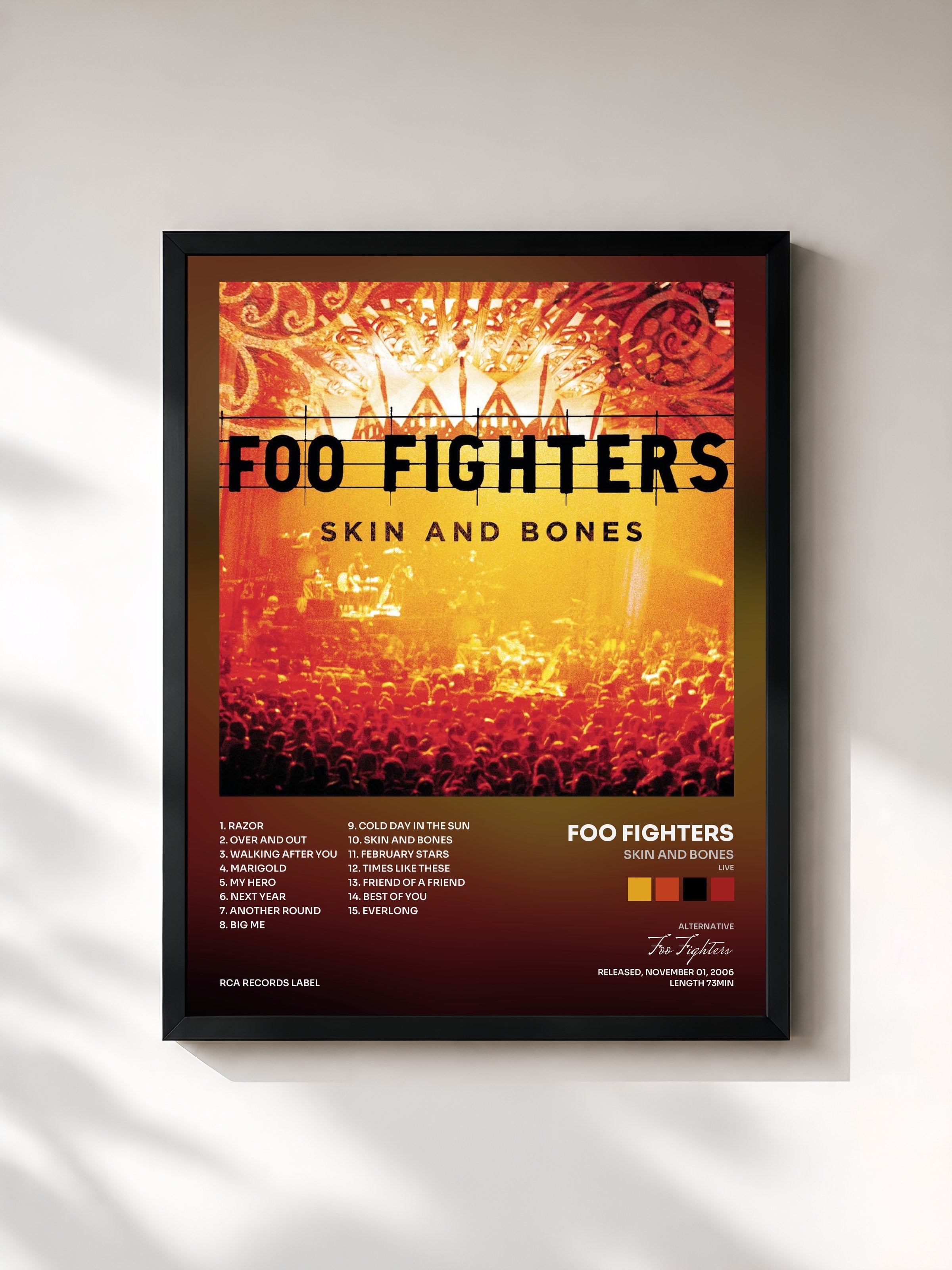 Foo Fighters · Skin And Bones (Live)