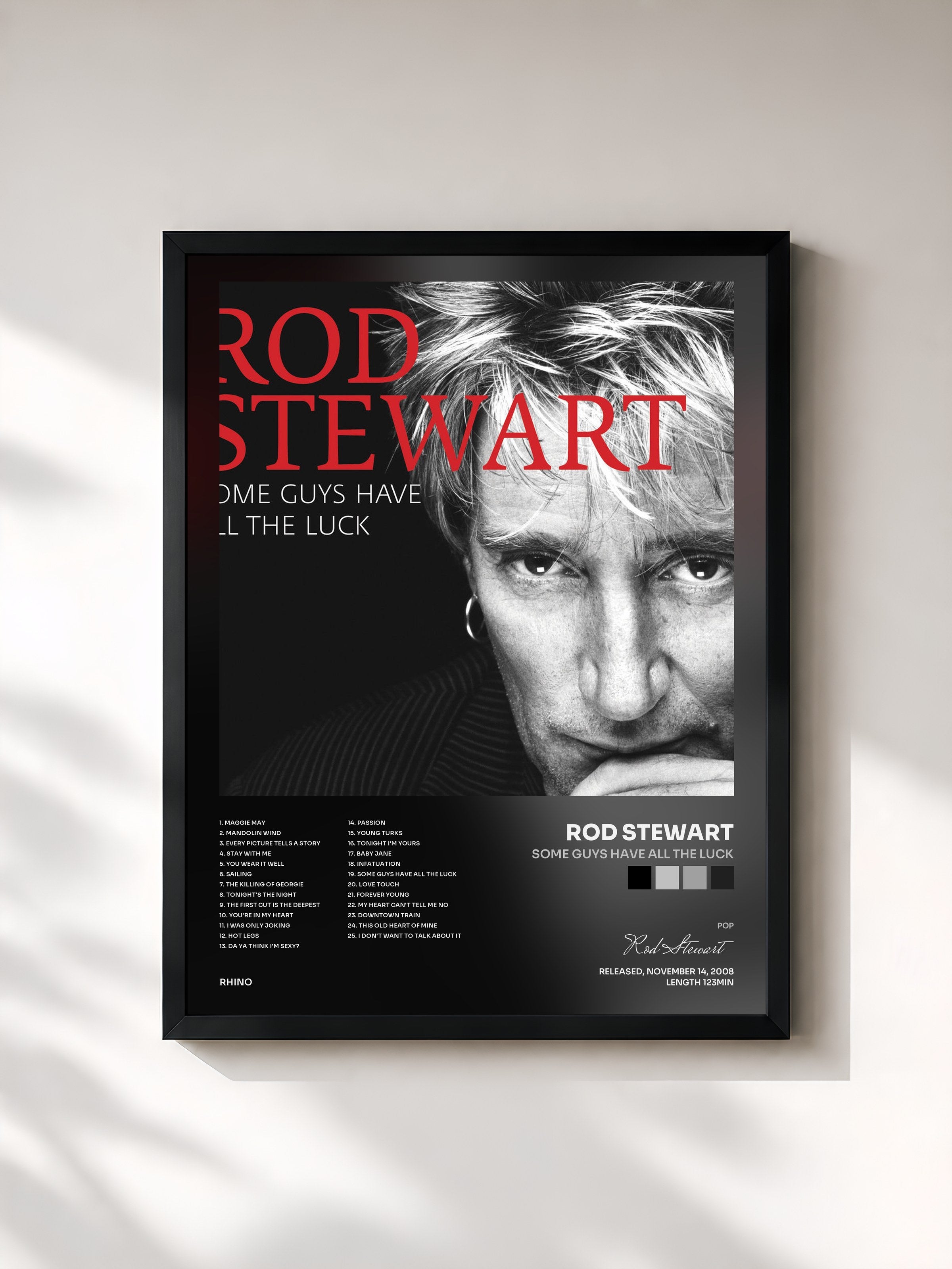 Rod Stewart · Some Guys Have All the Luck