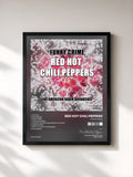 Red Hot Chili Peppers · Funky Crime (Live)
