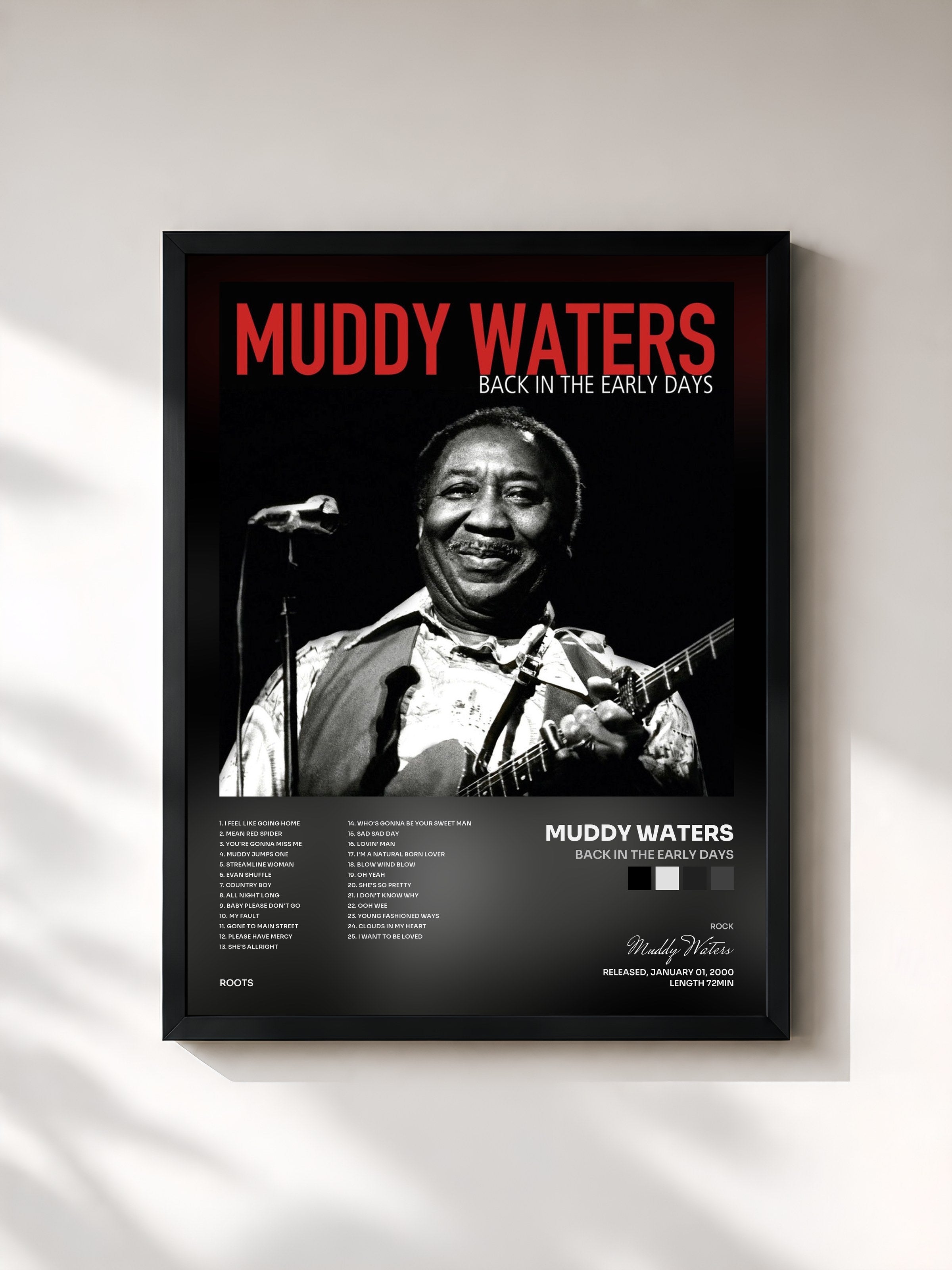 Muddy Waters · Back In The Early Days
