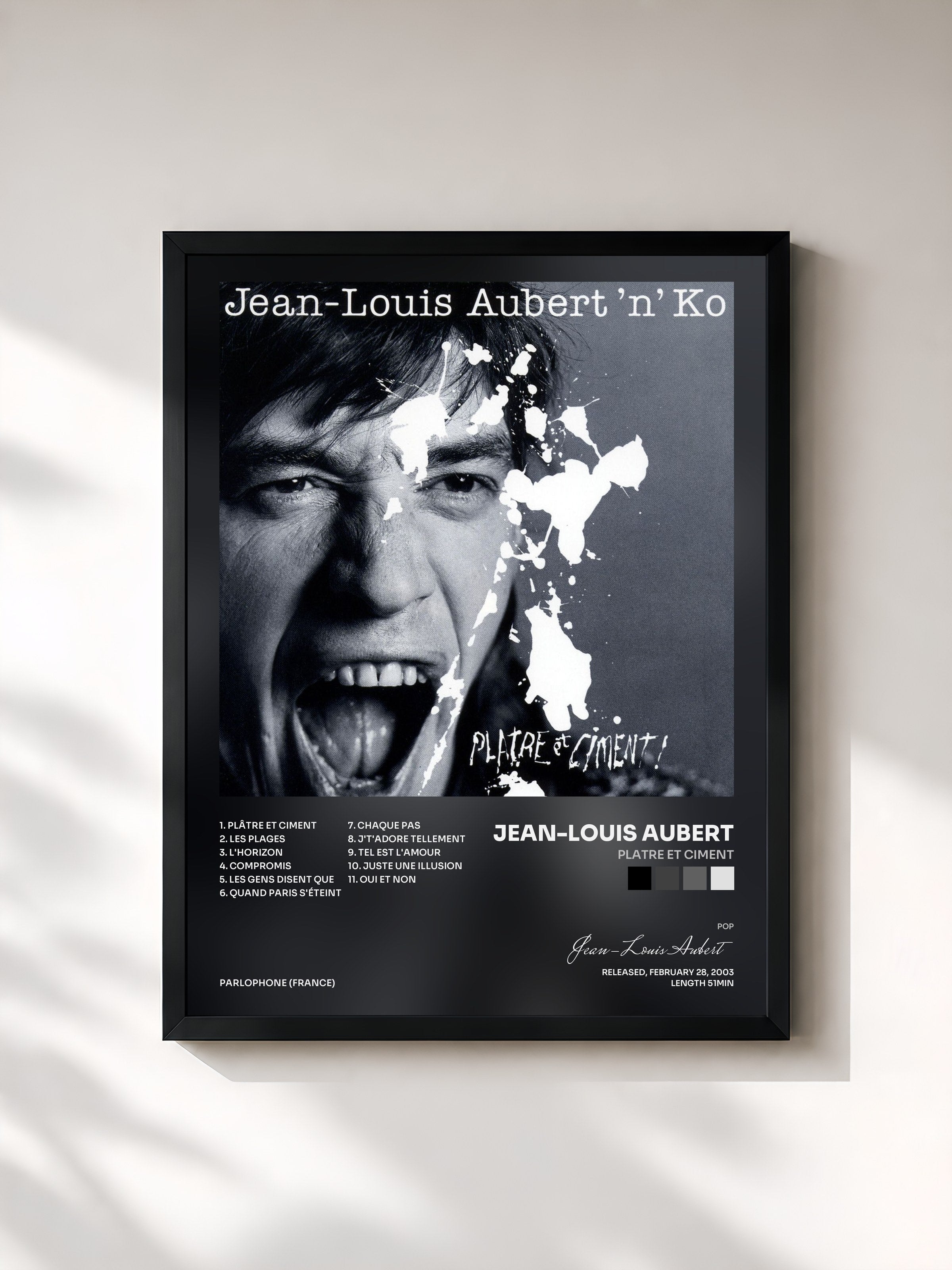Jean-Louis Aubert · platre et ciment