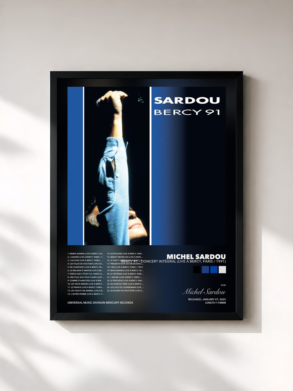 Michel Sardou · Bercy 91 - Concert intégral (Live à Bercy, Paris / 1991)