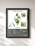 Clean Bandit · New Eyes