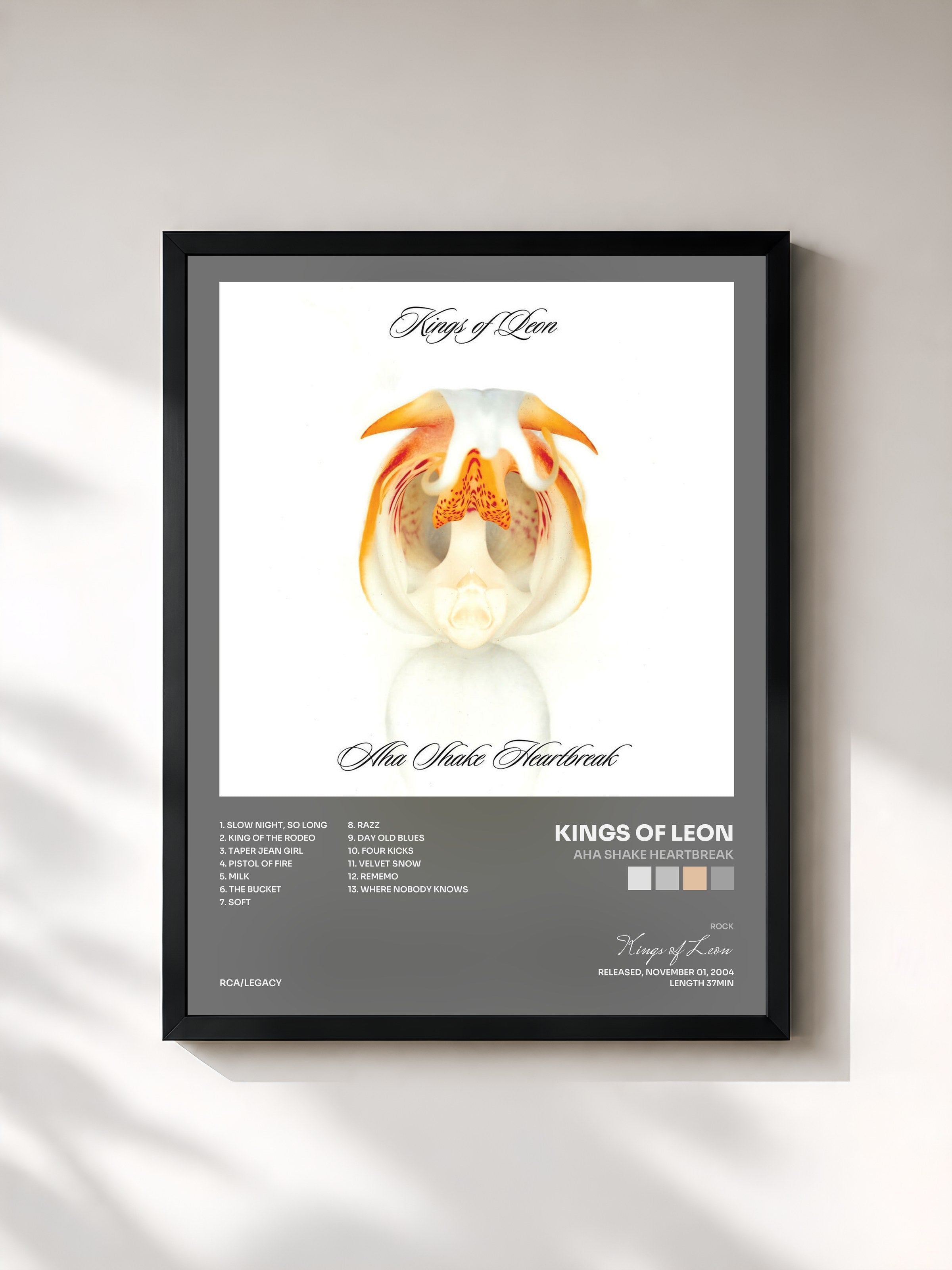 Kings of Leon · Aha Shake Heartbreak