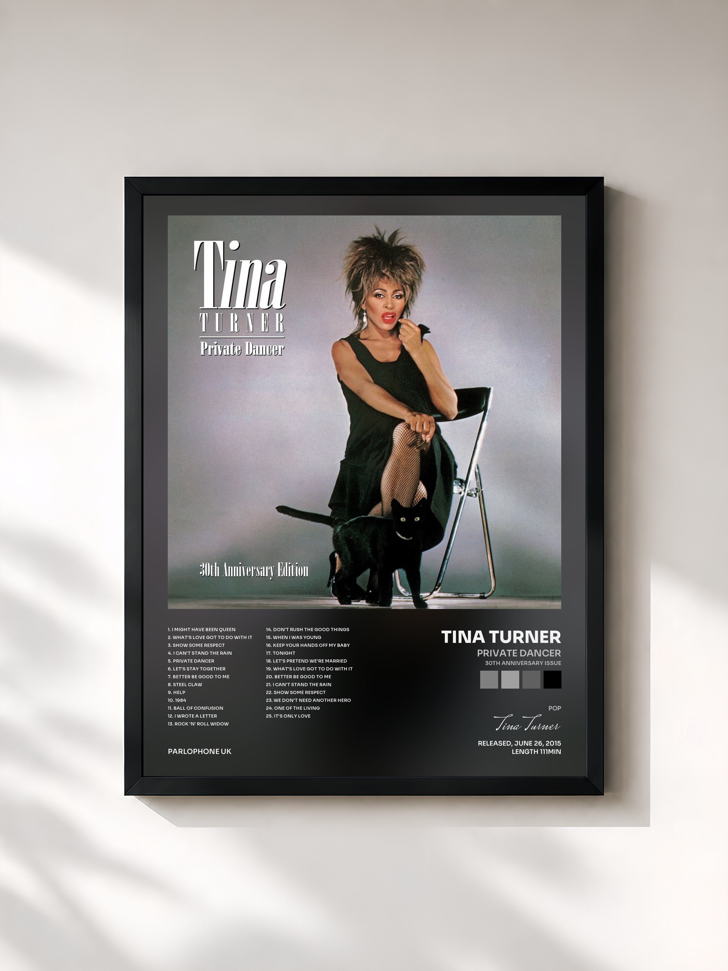Tina Turner · Private Dancer (30th Anniversary Issue)