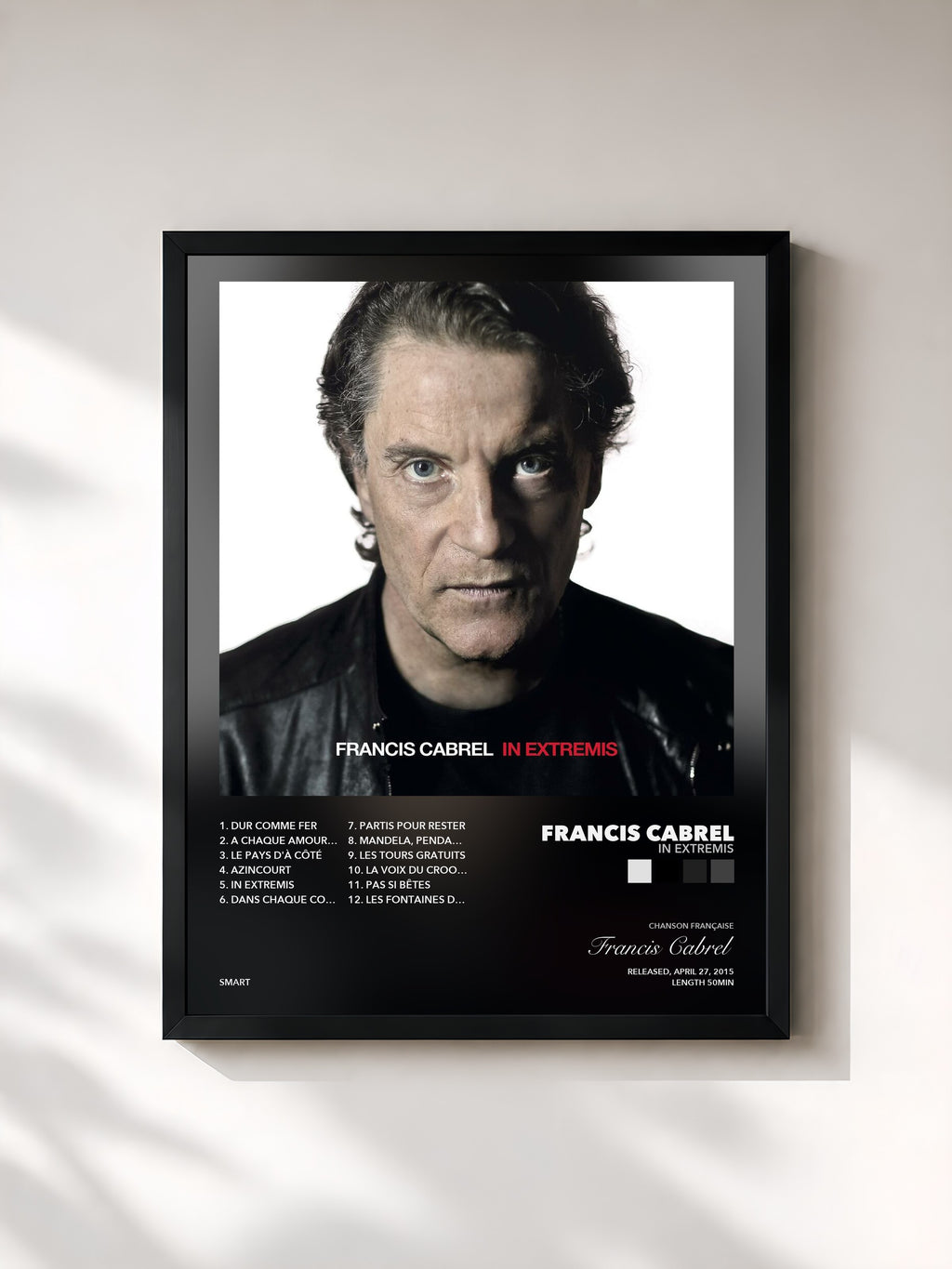 Tableau de l'album In Extremis de Francis Cabrel, imprimé et encadré en France