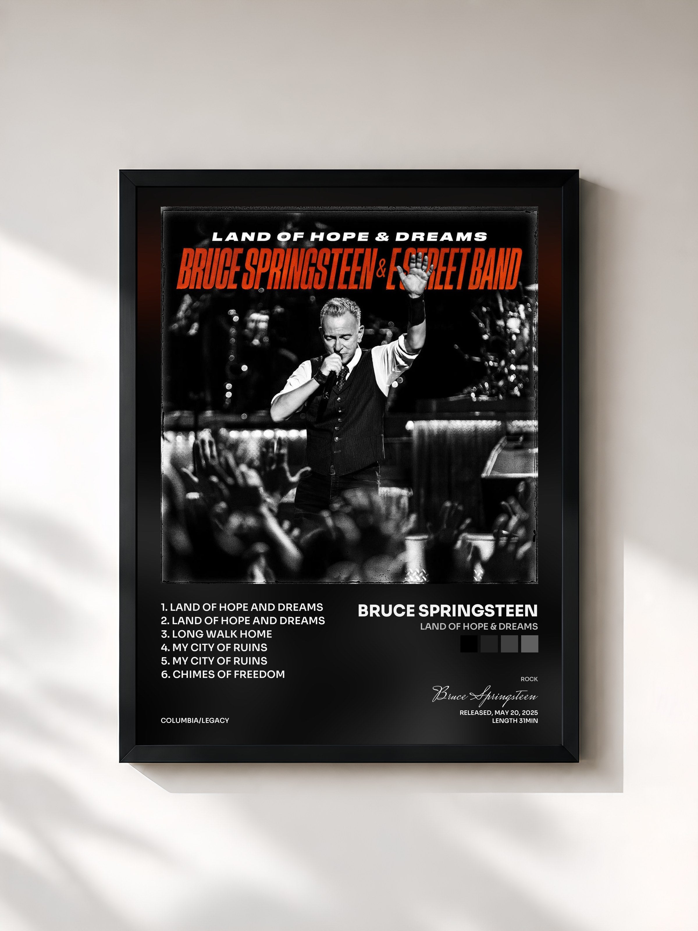 Bruce Springsteen · Land Of Hope & Dreams