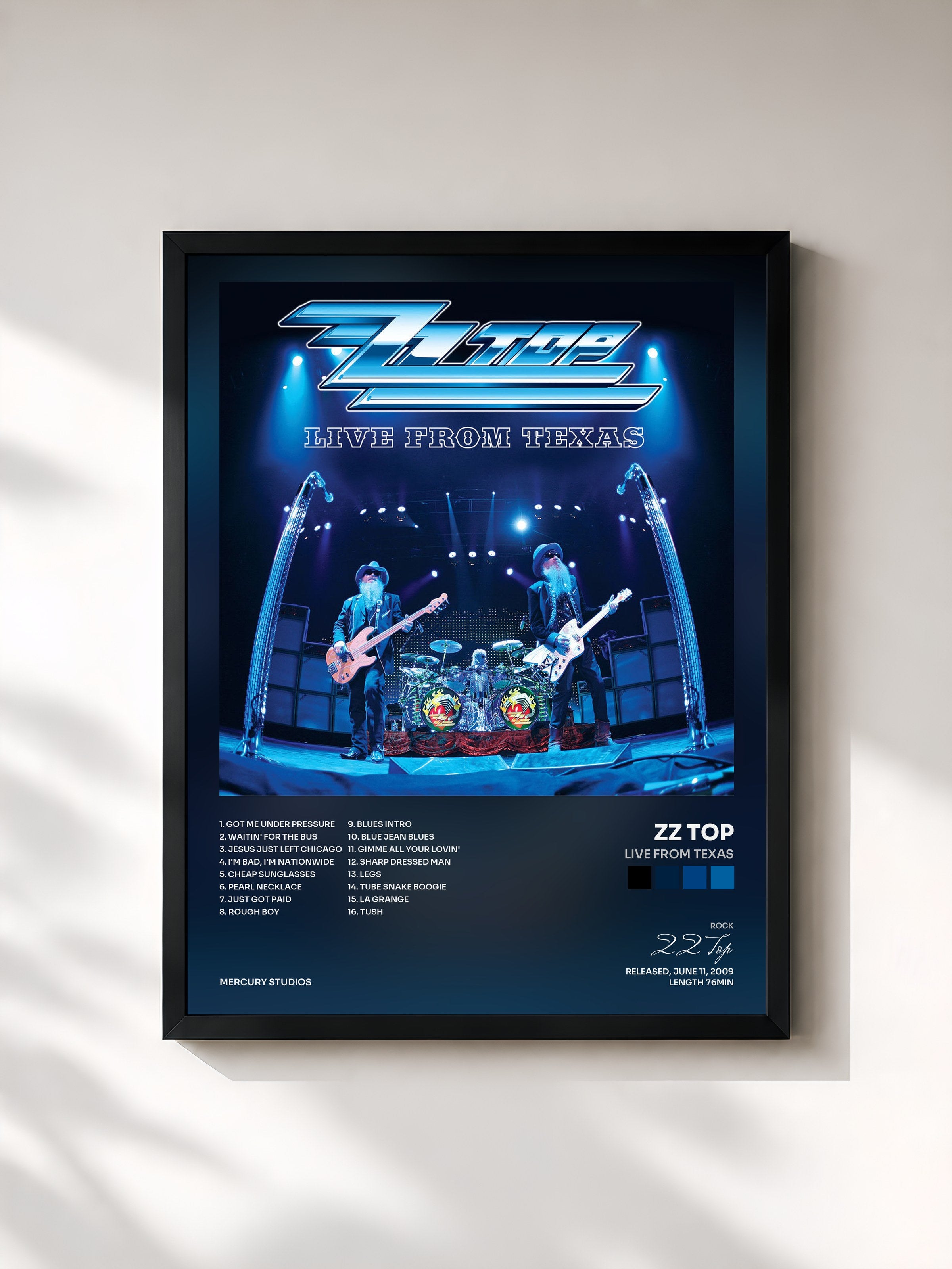 ZZ Top · Live From Texas
