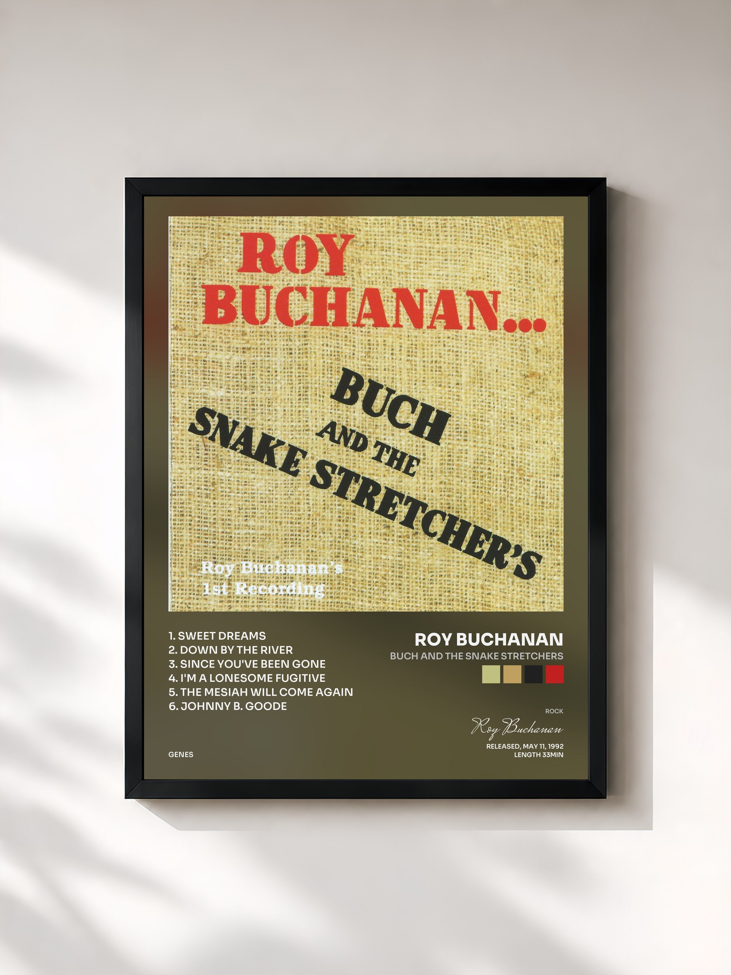 Roy Buchanan · Buch and the Snake Stretchers