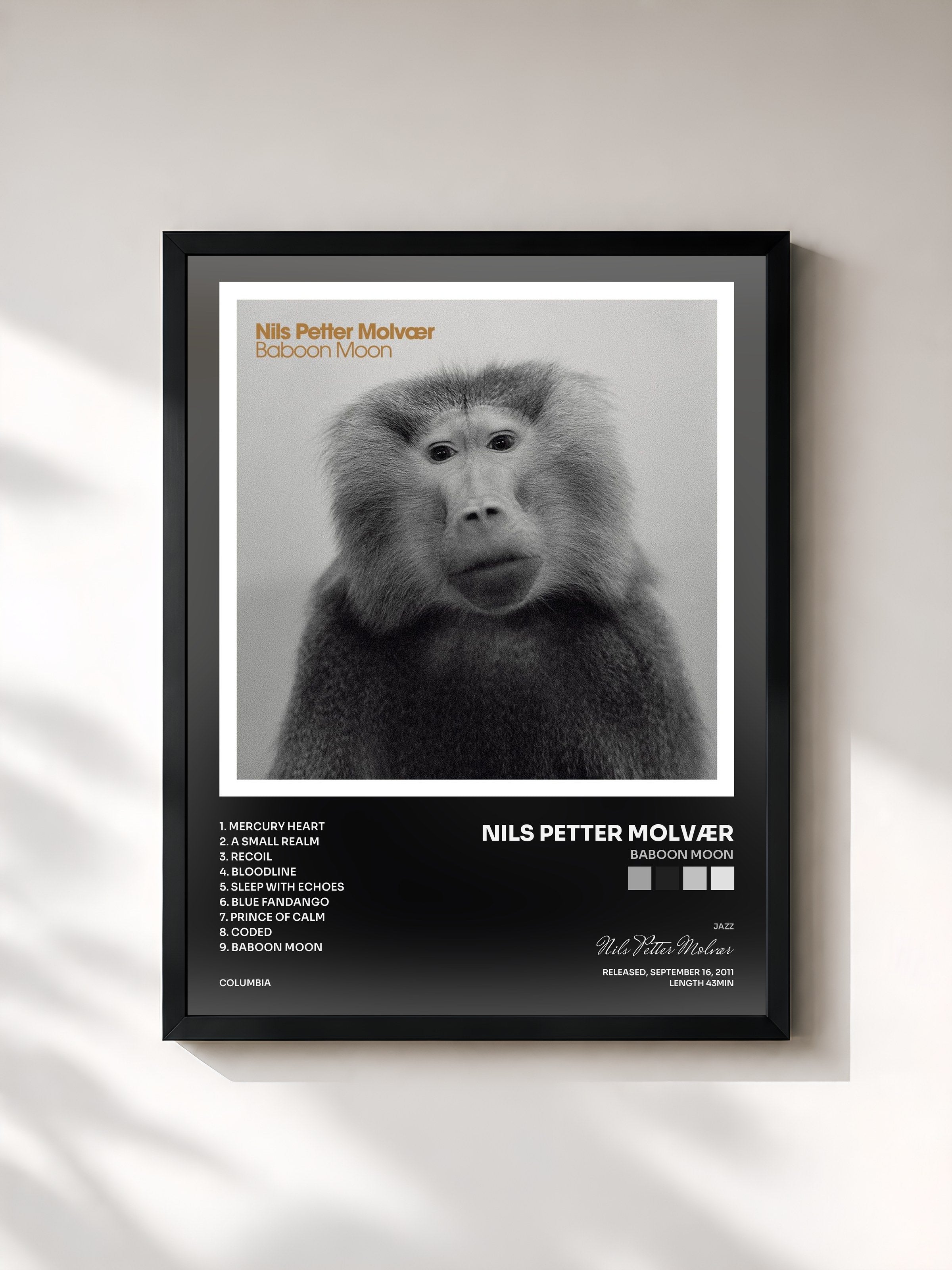 Nils Petter Molvær · Baboon Moon