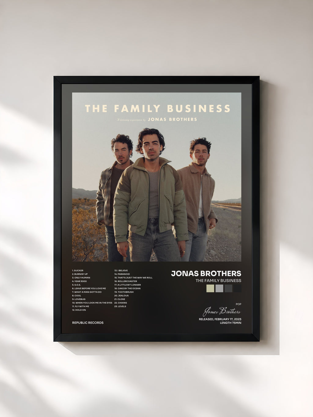 Jonas Brothers · The Family Business