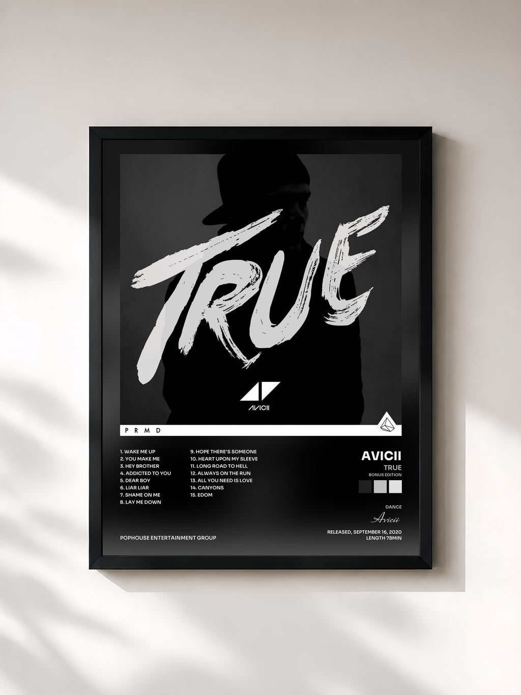 Avicii · True (Bonus Edition)