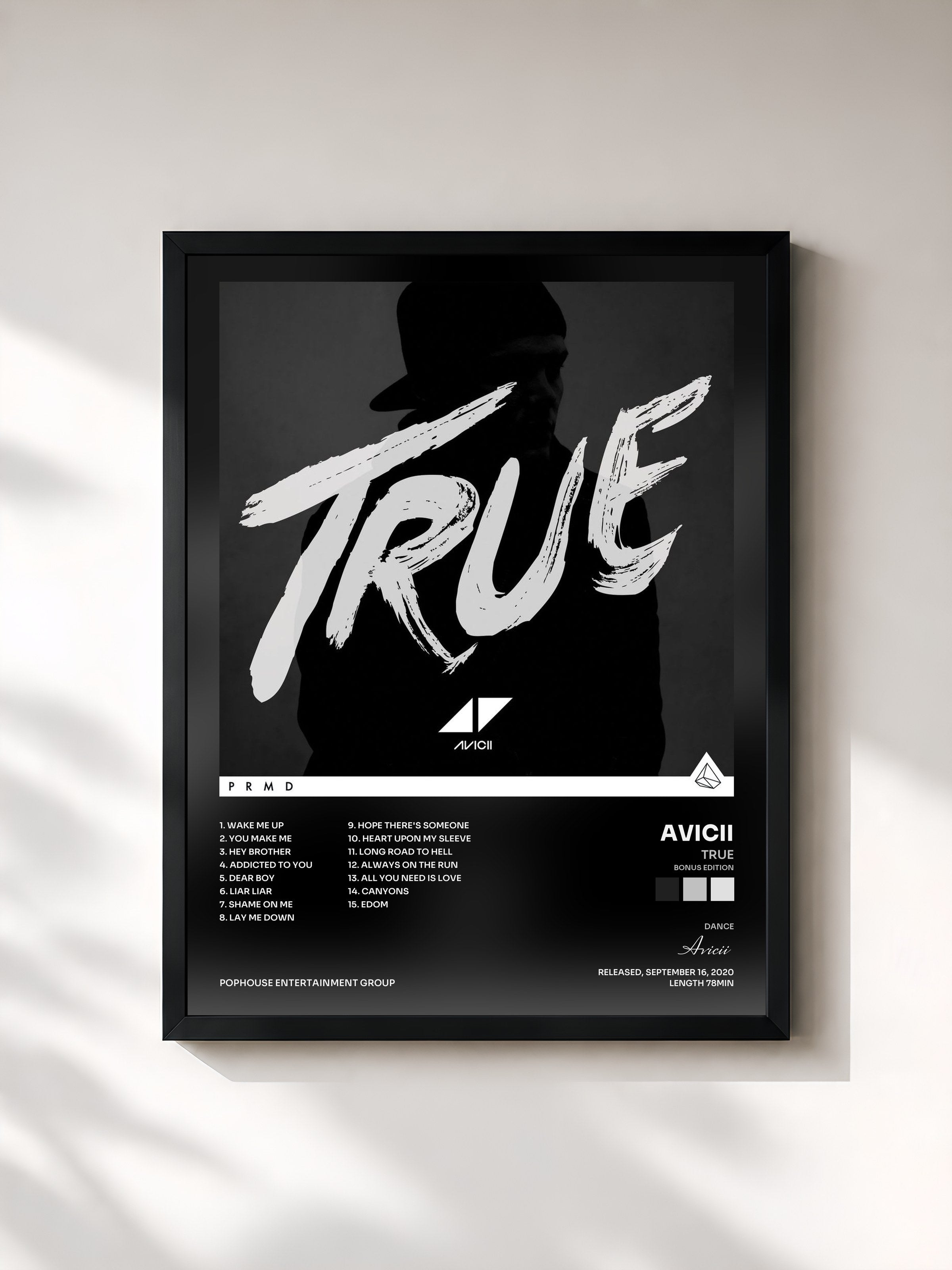 Avicii · True (Bonus Edition)