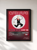 Cyndi Lauper · True Colors Live 2008
