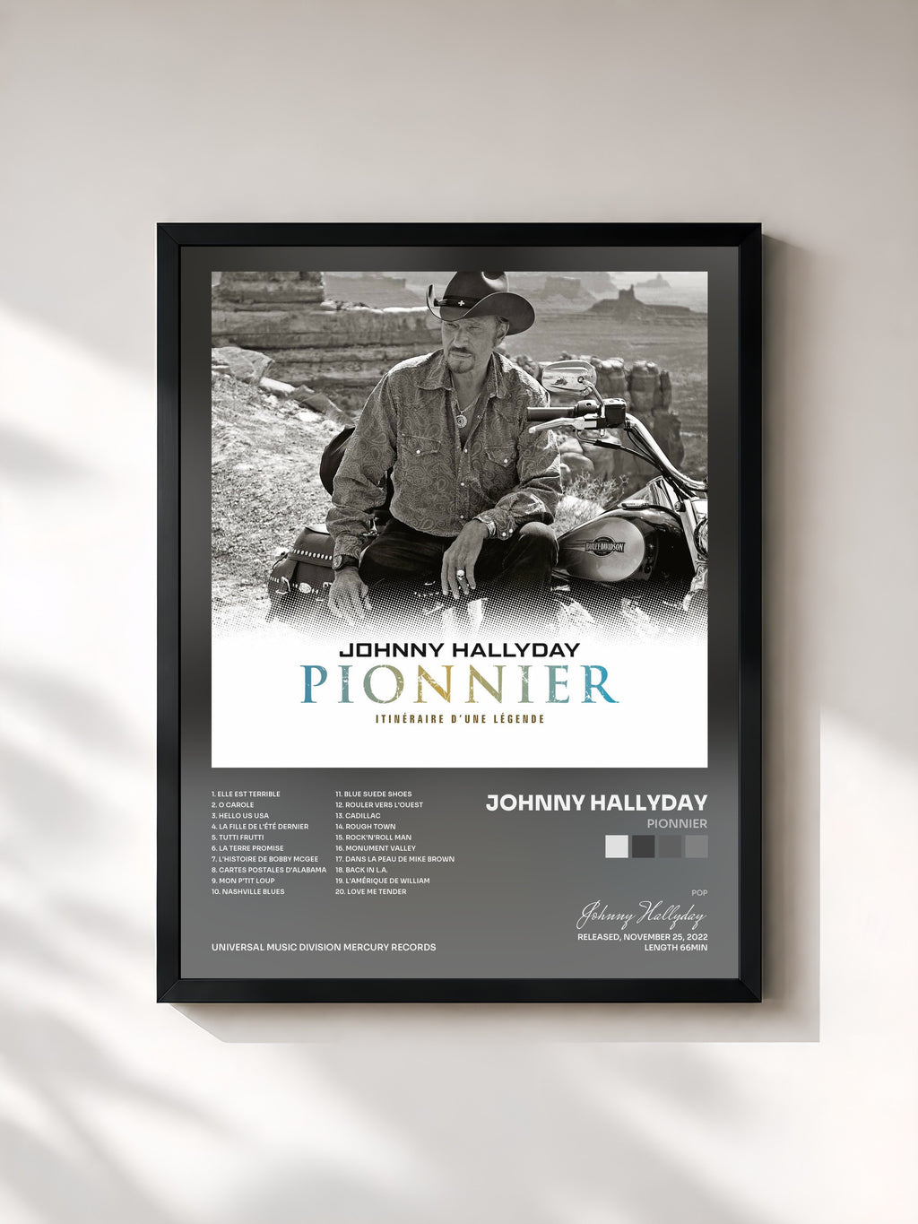 Johnny Hallyday · Pionnier