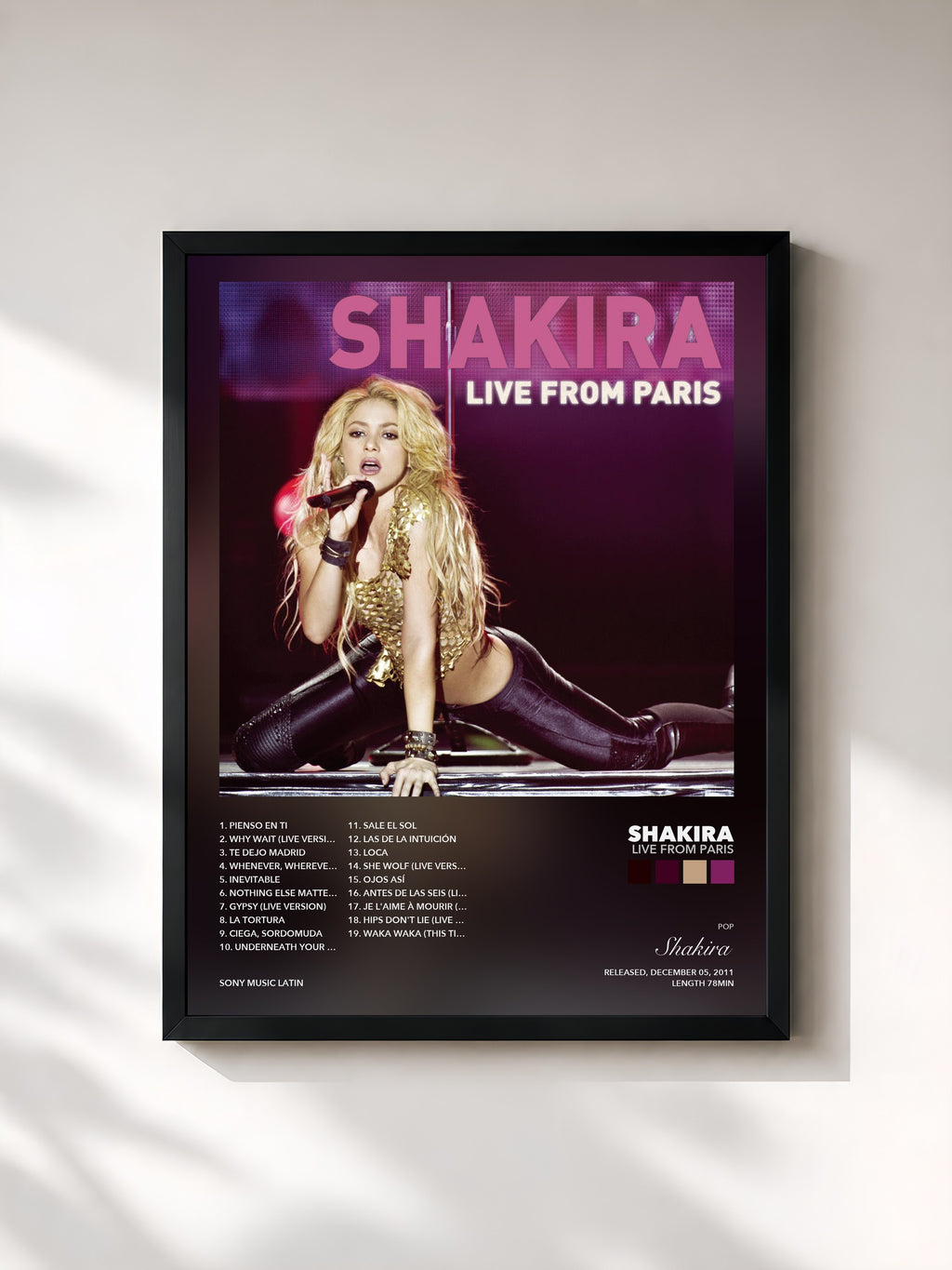 Shakira – Live From Paris