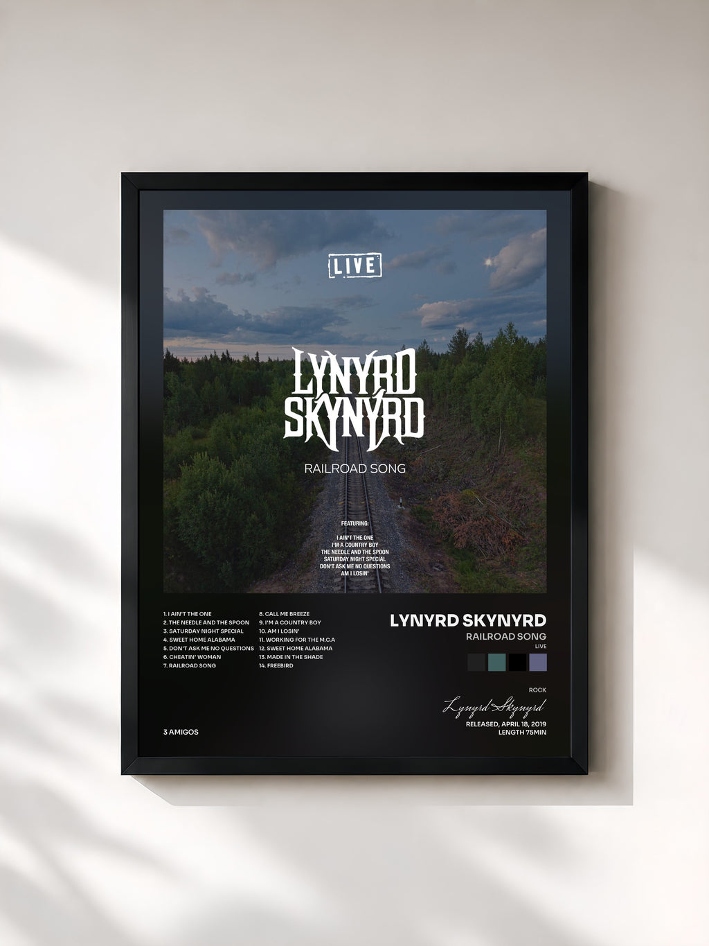 Lynyrd Skynyrd · Railroad Song (Live)