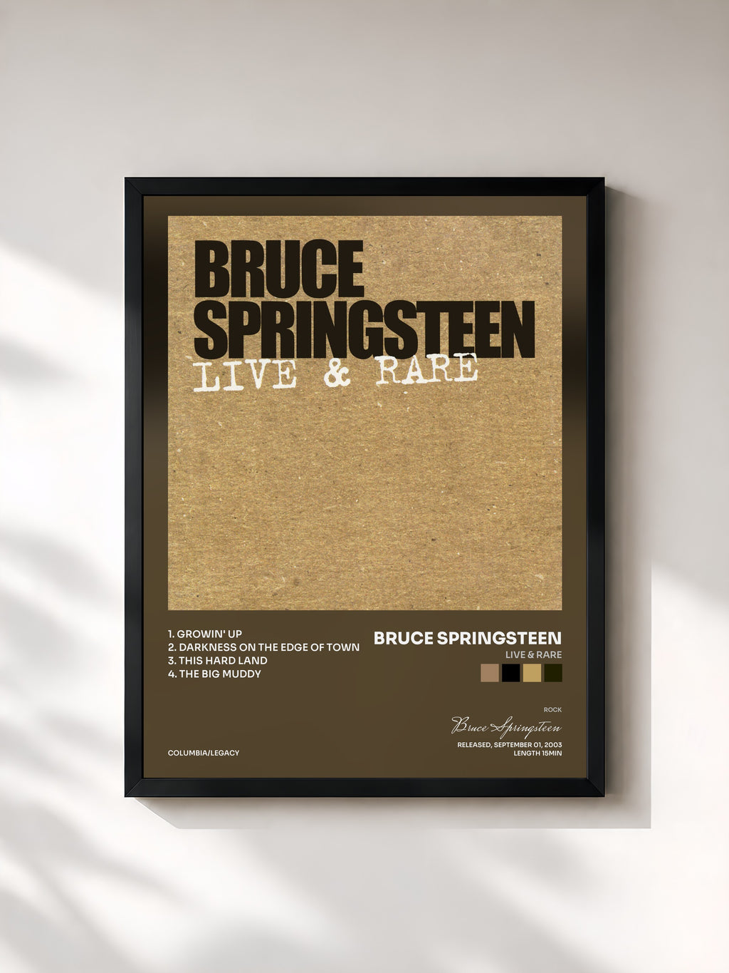 Bruce Springsteen · Live & Rare