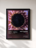 Tracy Chapman · New Beginning