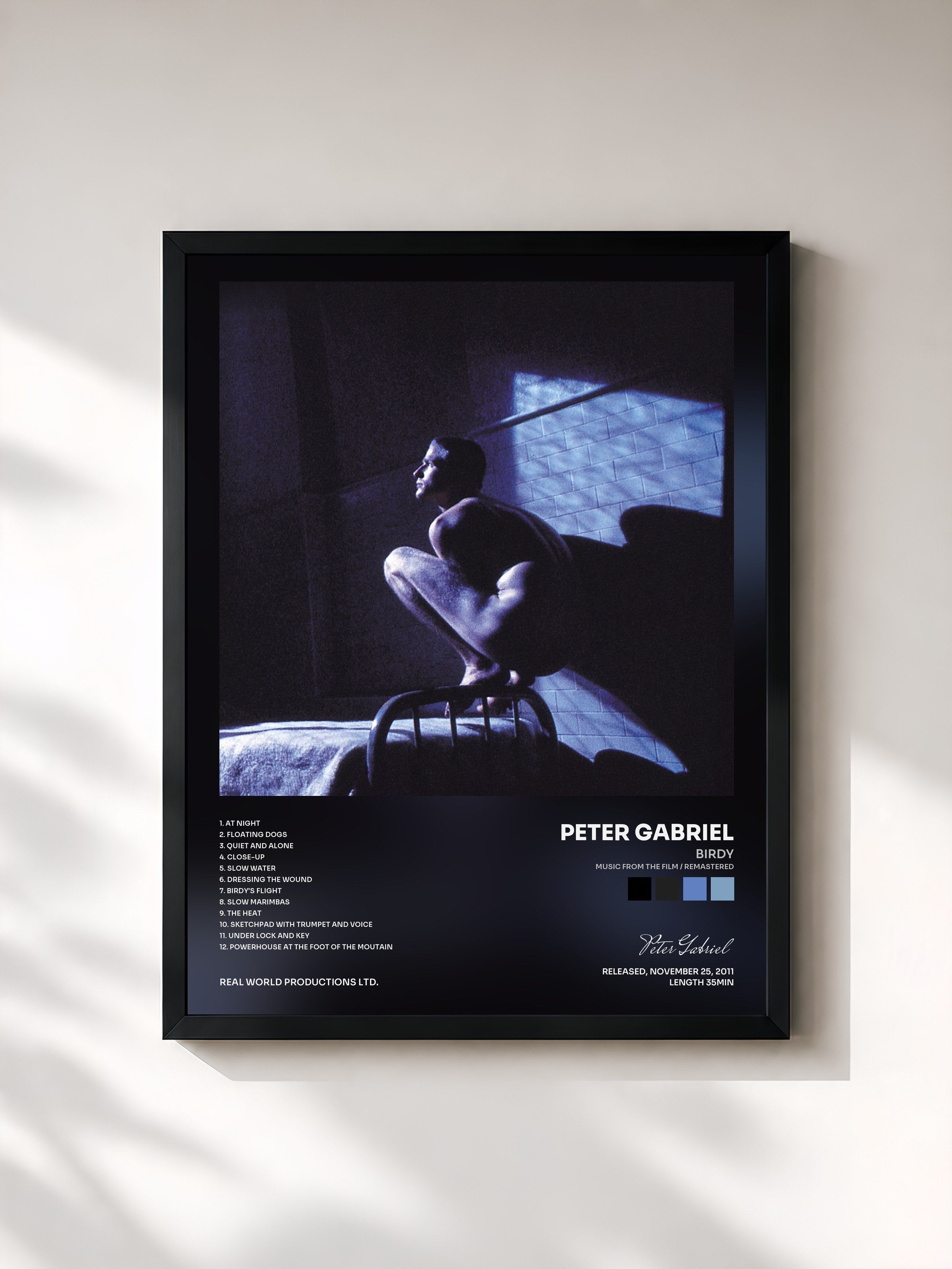 Peter Gabriel · Birdy (Music From The Film / Remastered)