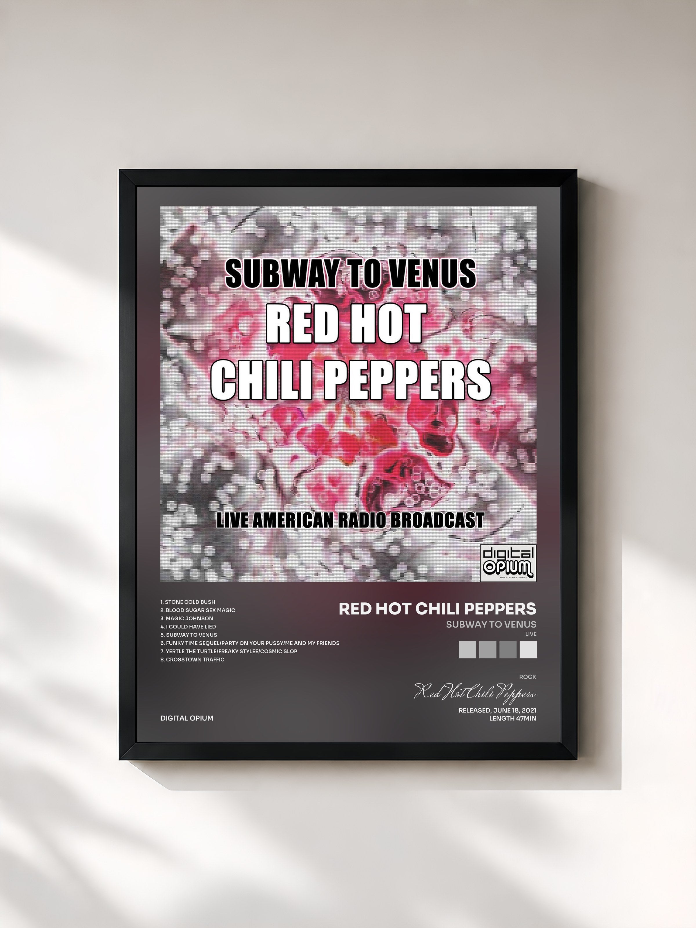 Red Hot Chili Peppers · Subway to Venus (Live)