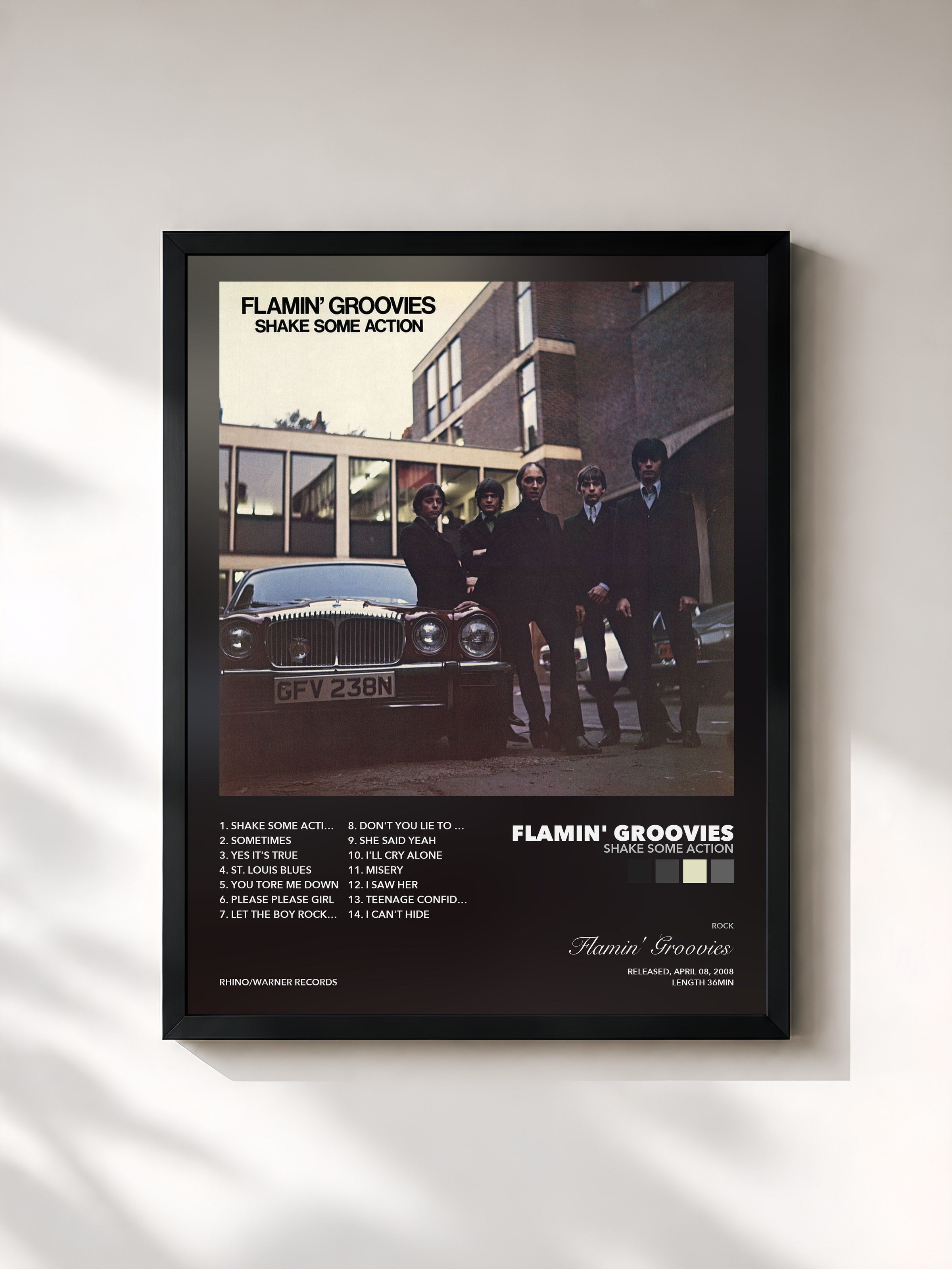 Flamin' Groovies – Shake Some Action