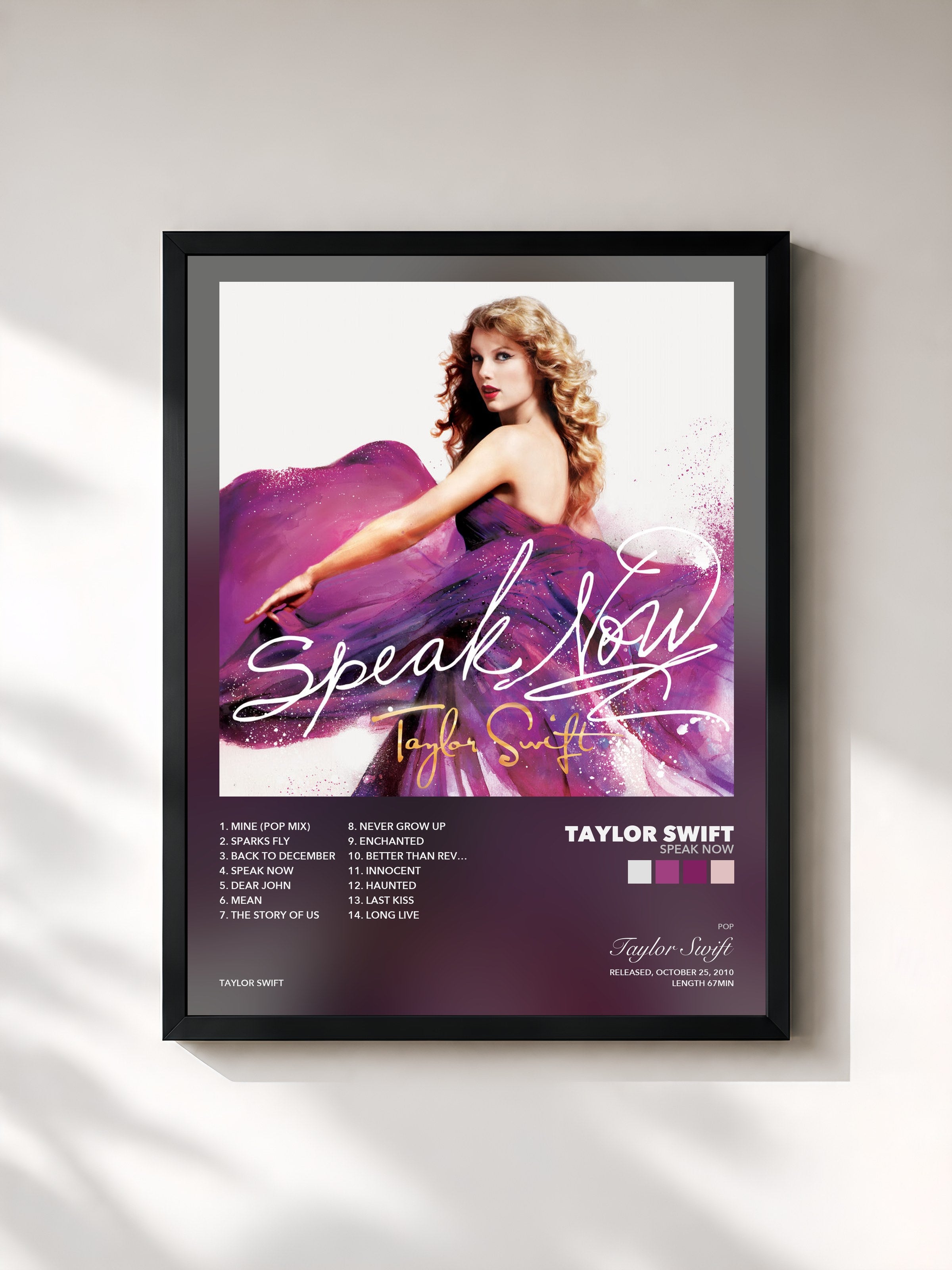 Taylor Swift – Speak Now