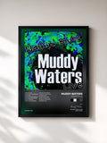 Muddy Waters · Walkin' Blues (Live)