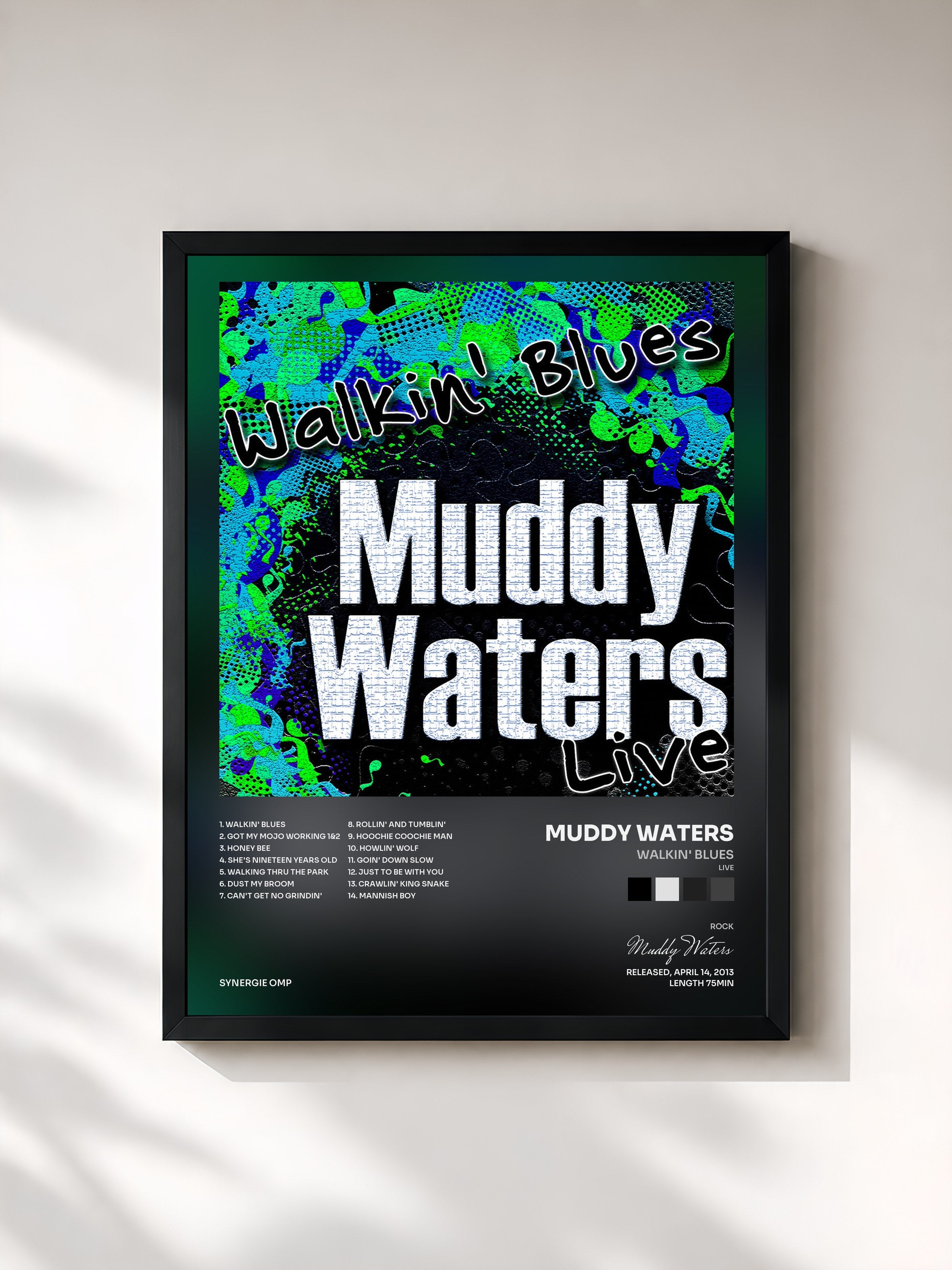 Muddy Waters · Walkin' Blues (Live)
