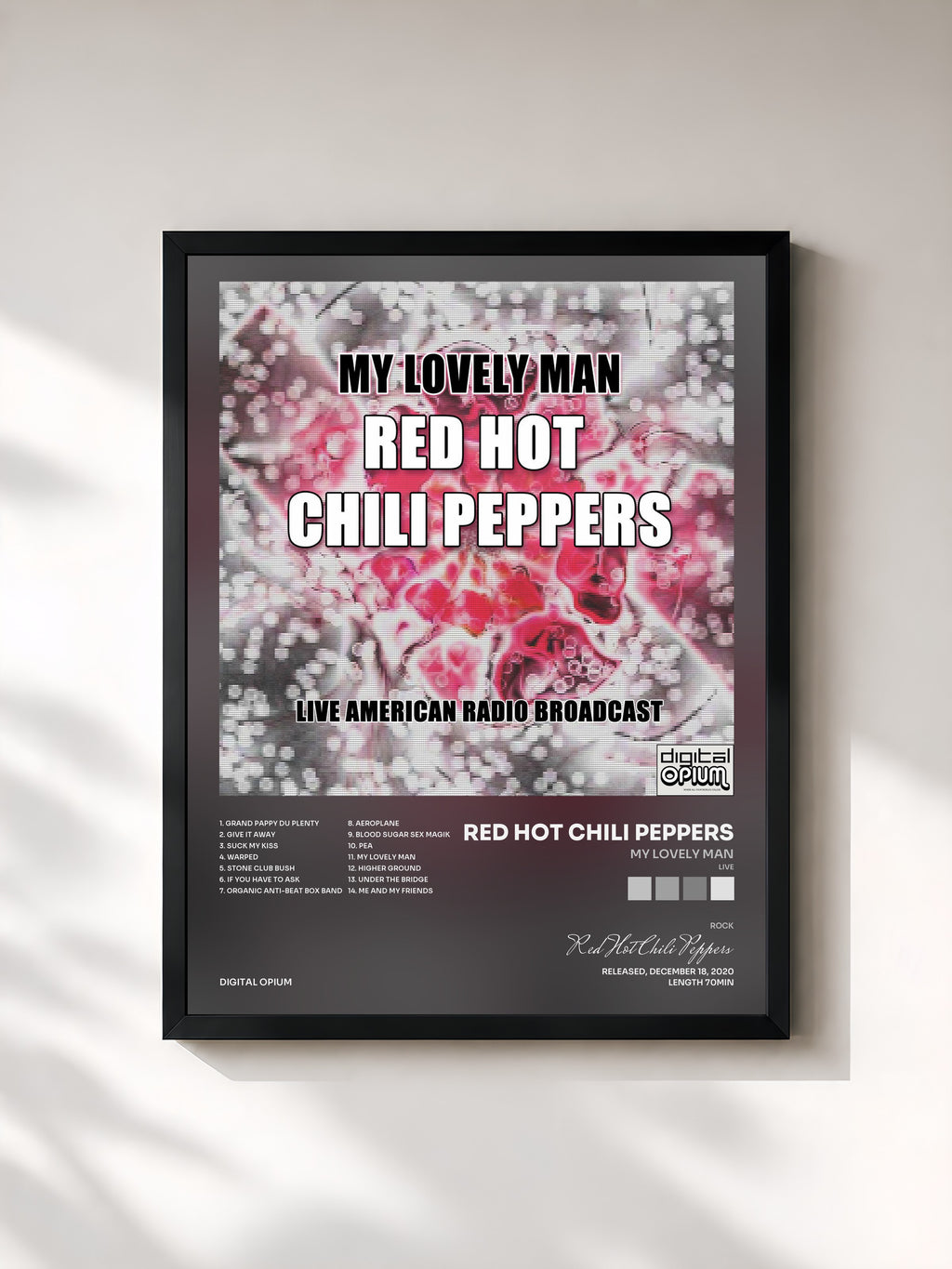 Red Hot Chili Peppers · My Lovely Man (Live)