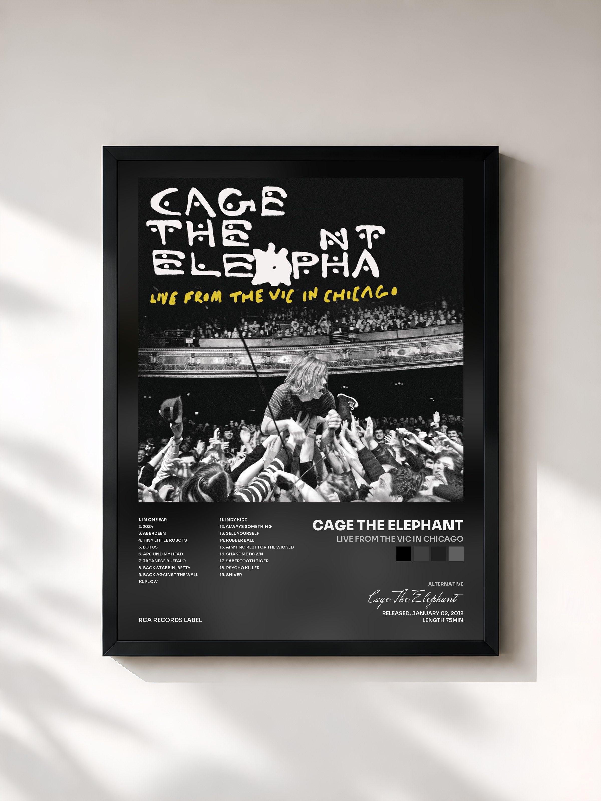 Cage The Elephant · Live From The Vic In Chicago