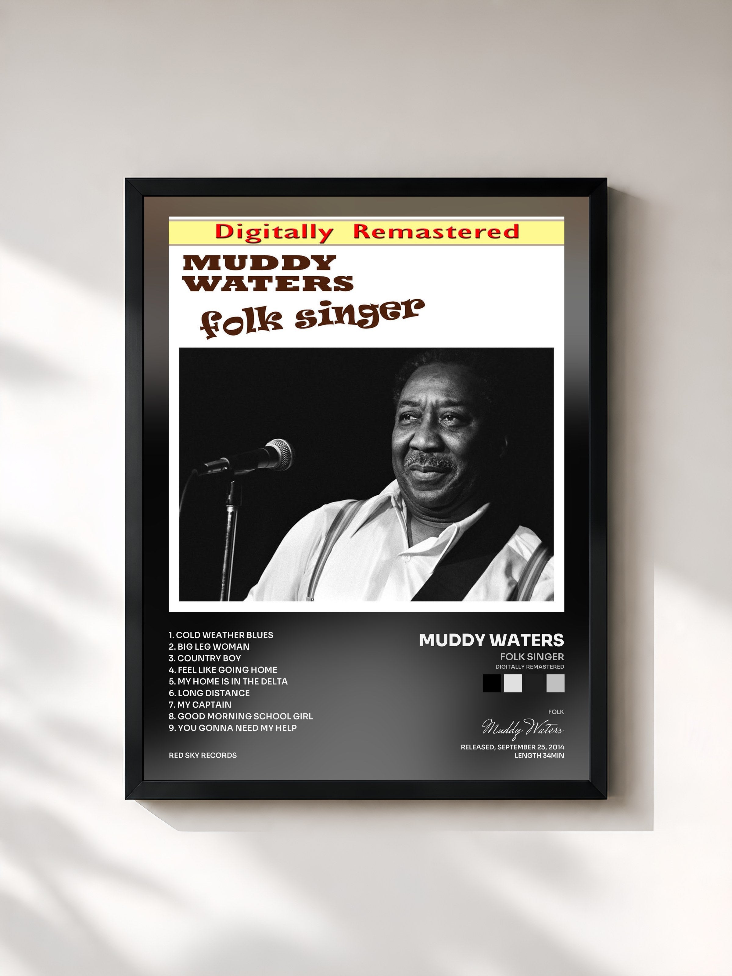 Muddy Waters · Folk Singer (Digitally Remastered)