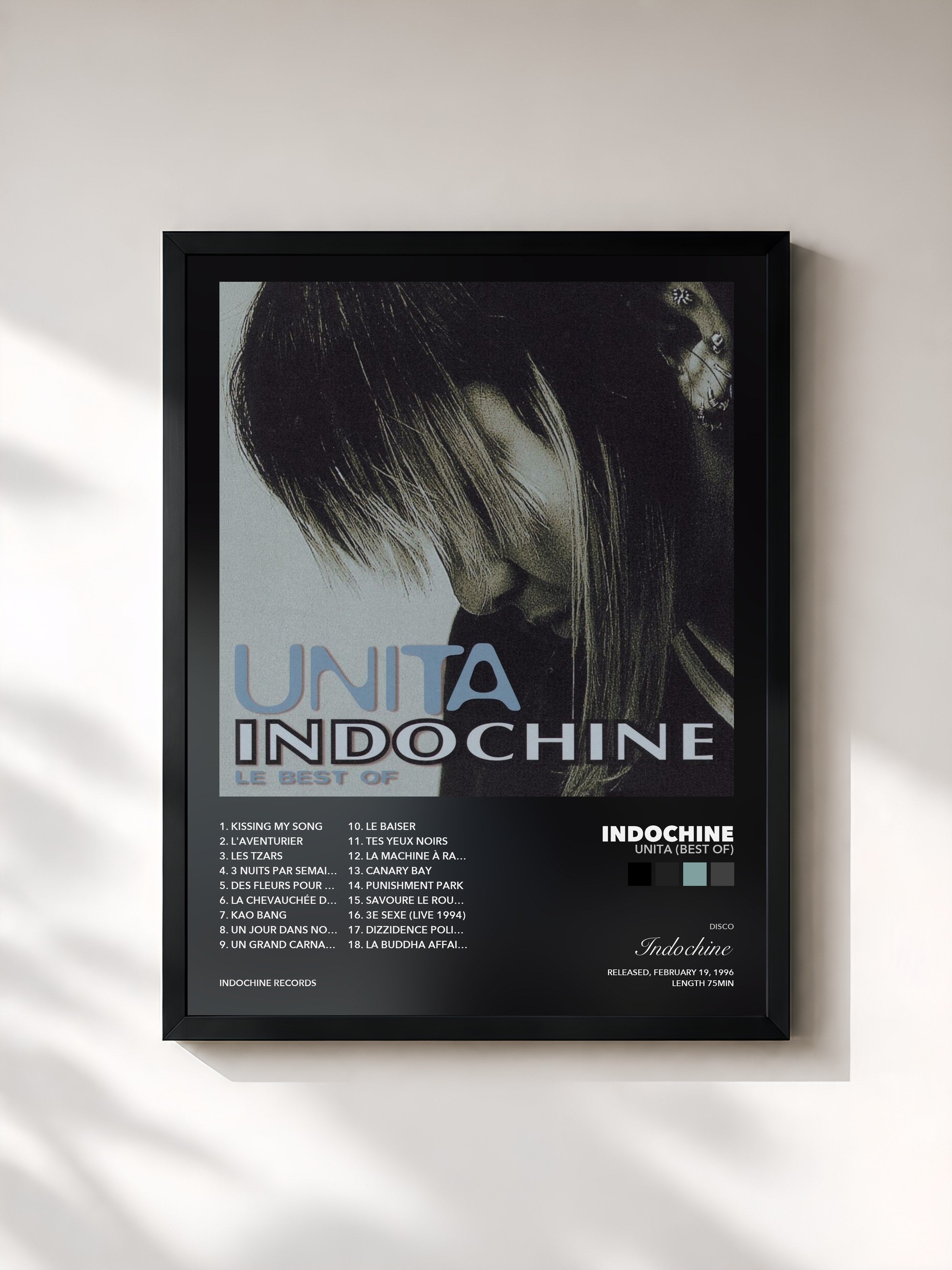 Tableau de l'album Unita (Best Of) de Indochine, imprimé et encadré en France