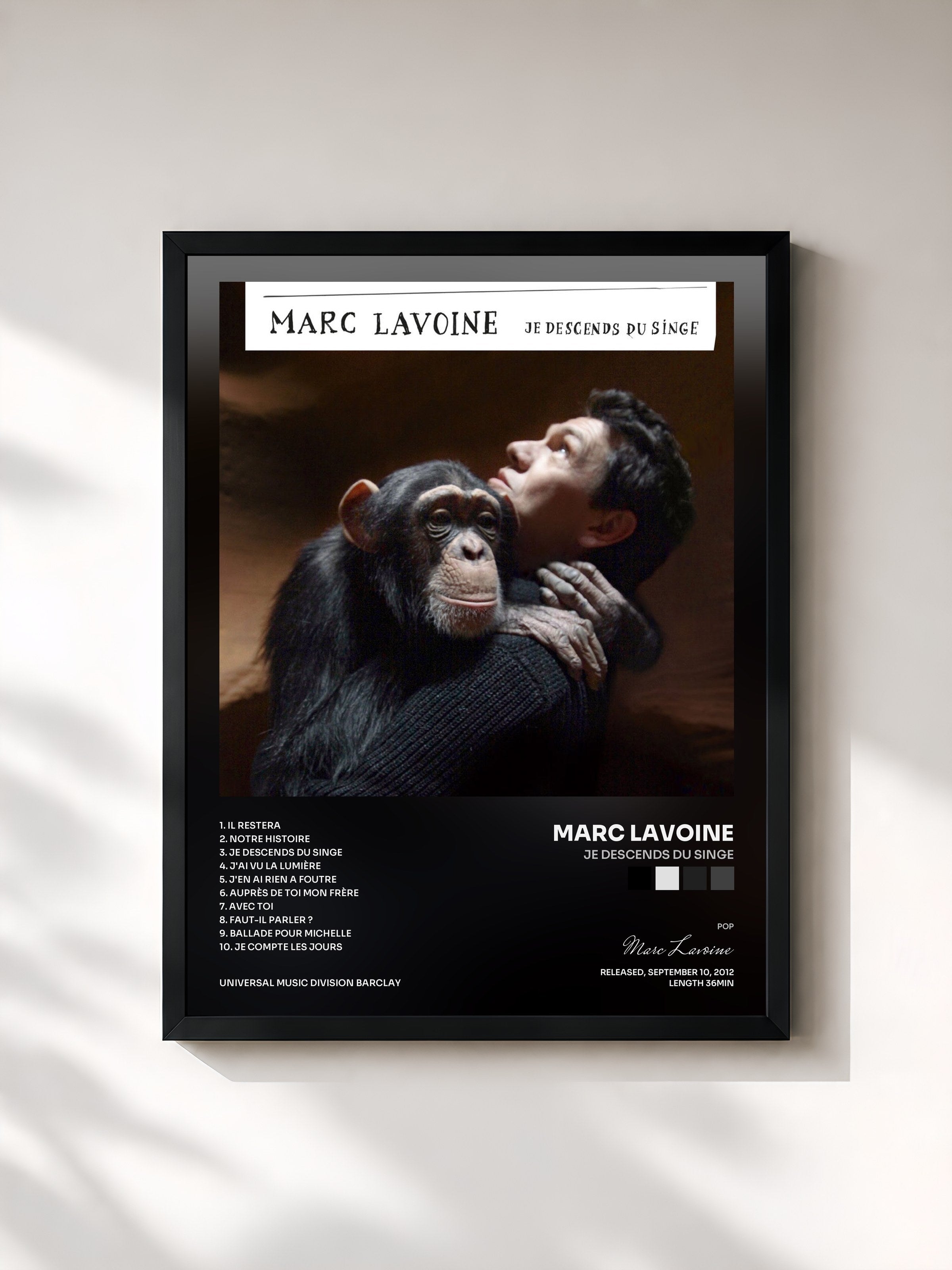 Marc Lavoine · Je Descends Du Singe