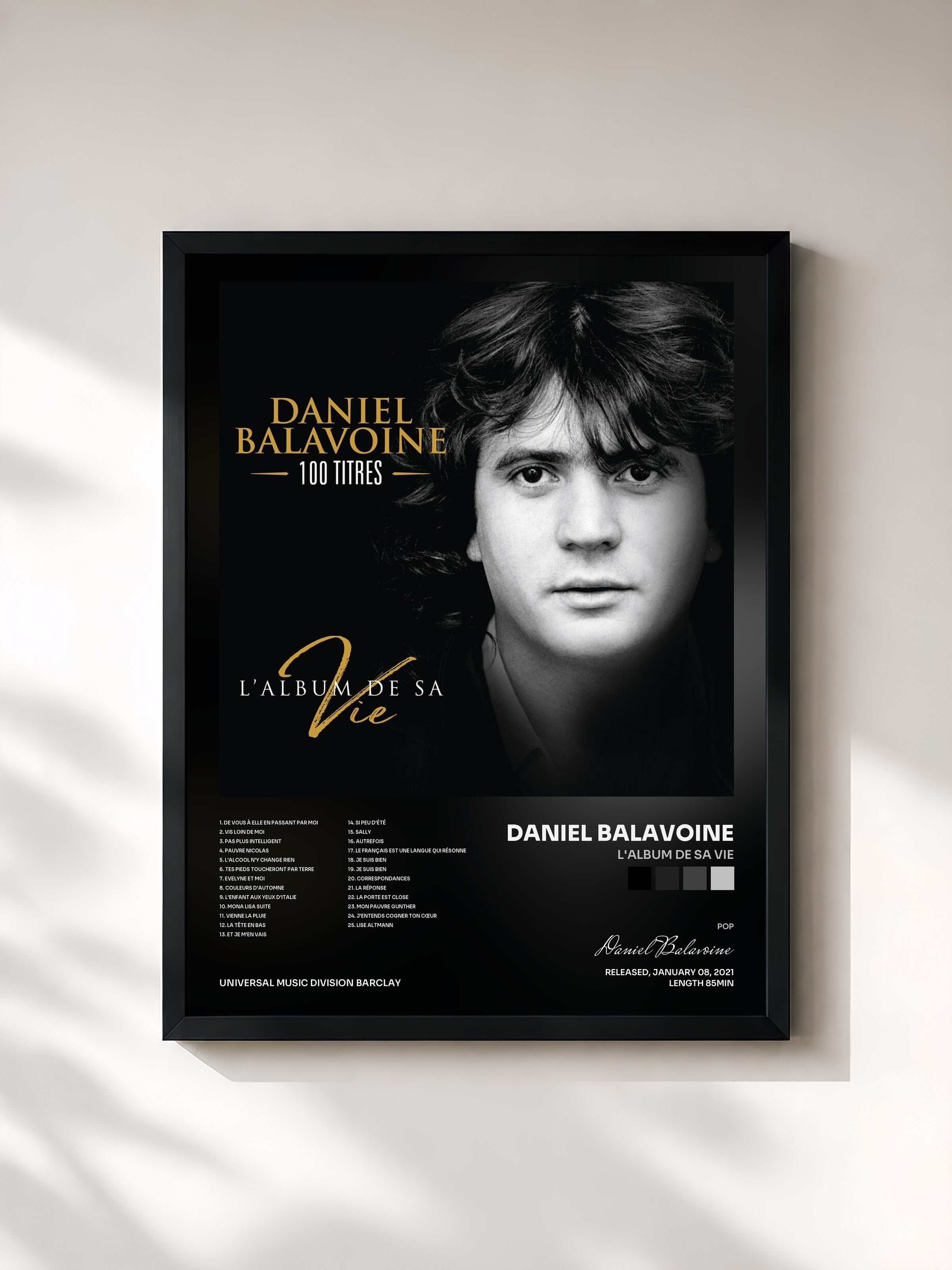 Daniel Balavoine · L'album de sa vie