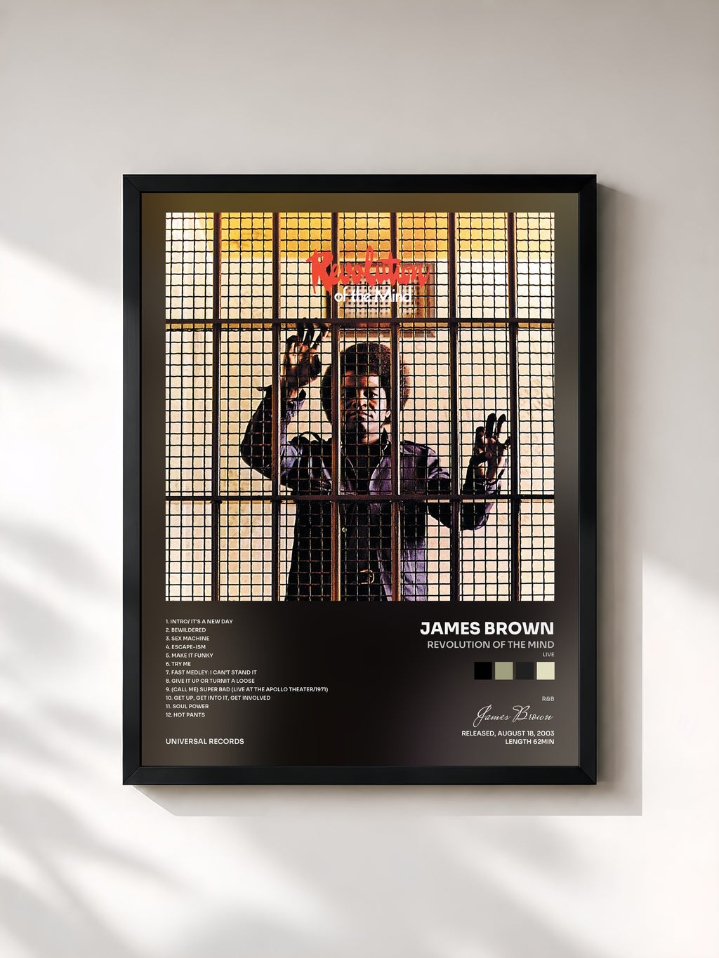 James Brown · Revolution Of The Mind (Live)