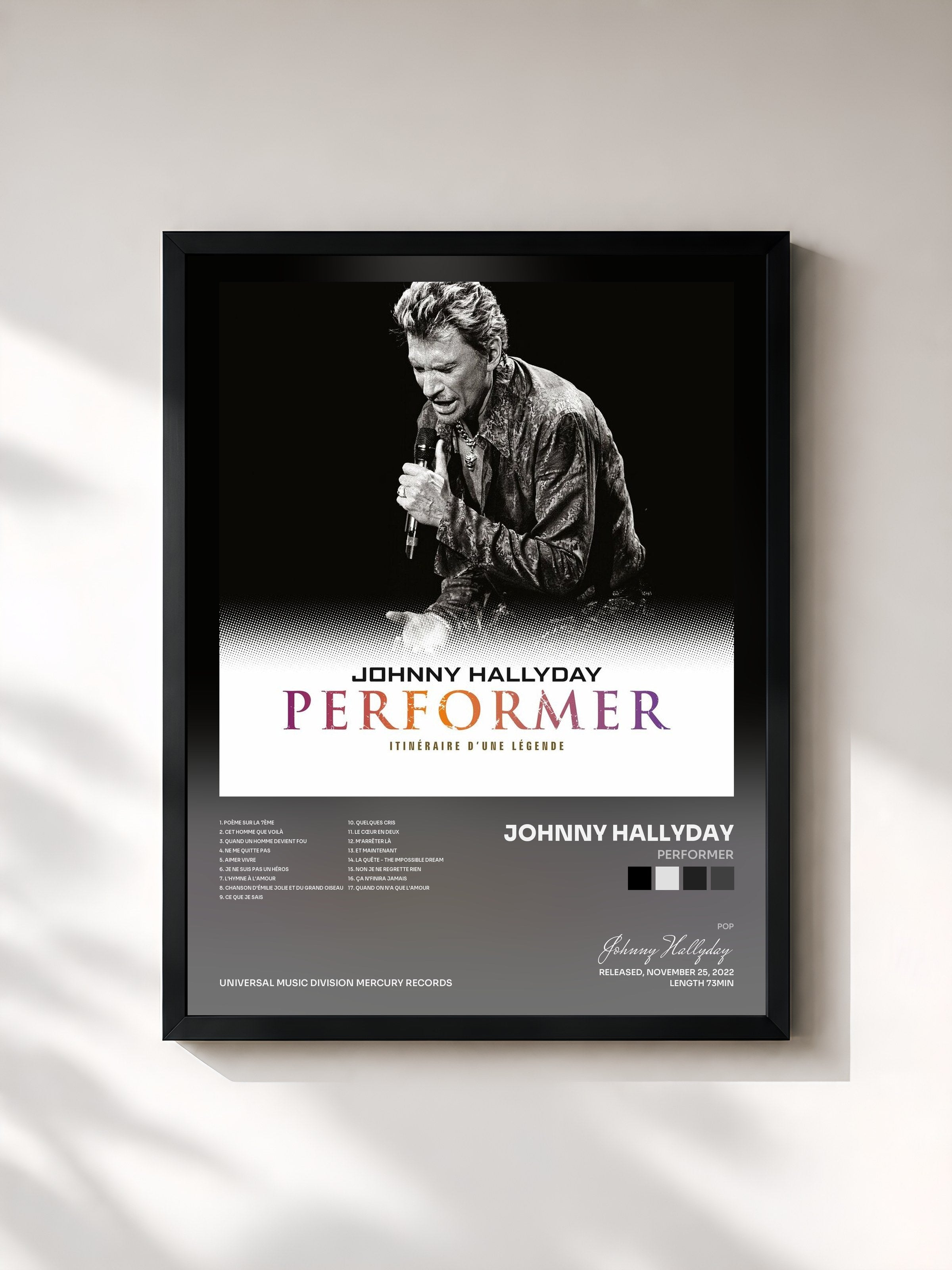 Johnny Hallyday · Performer