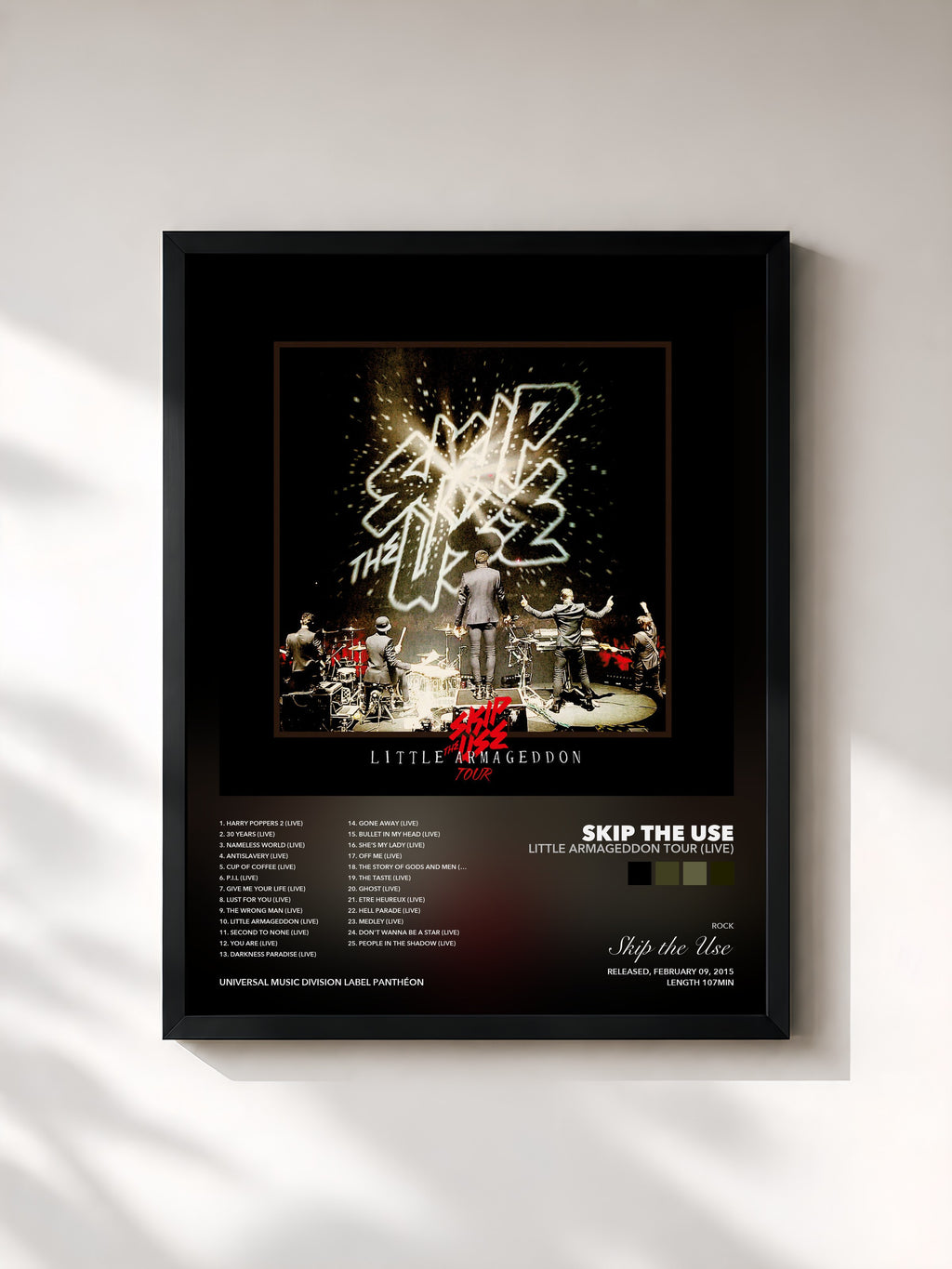 Skip the Use · Little Armageddon Tour (Live)