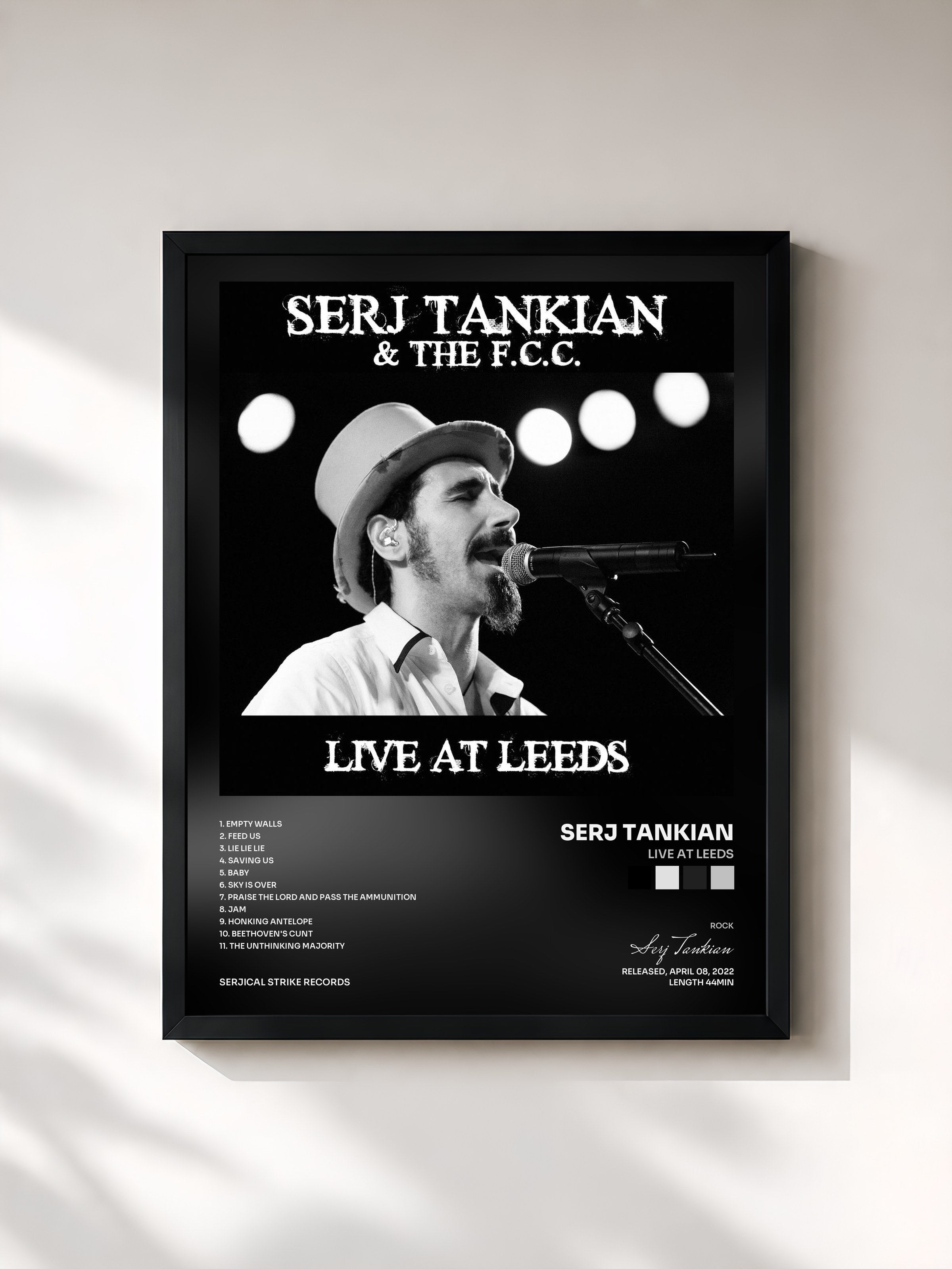 Serj Tankian · Live At Leeds