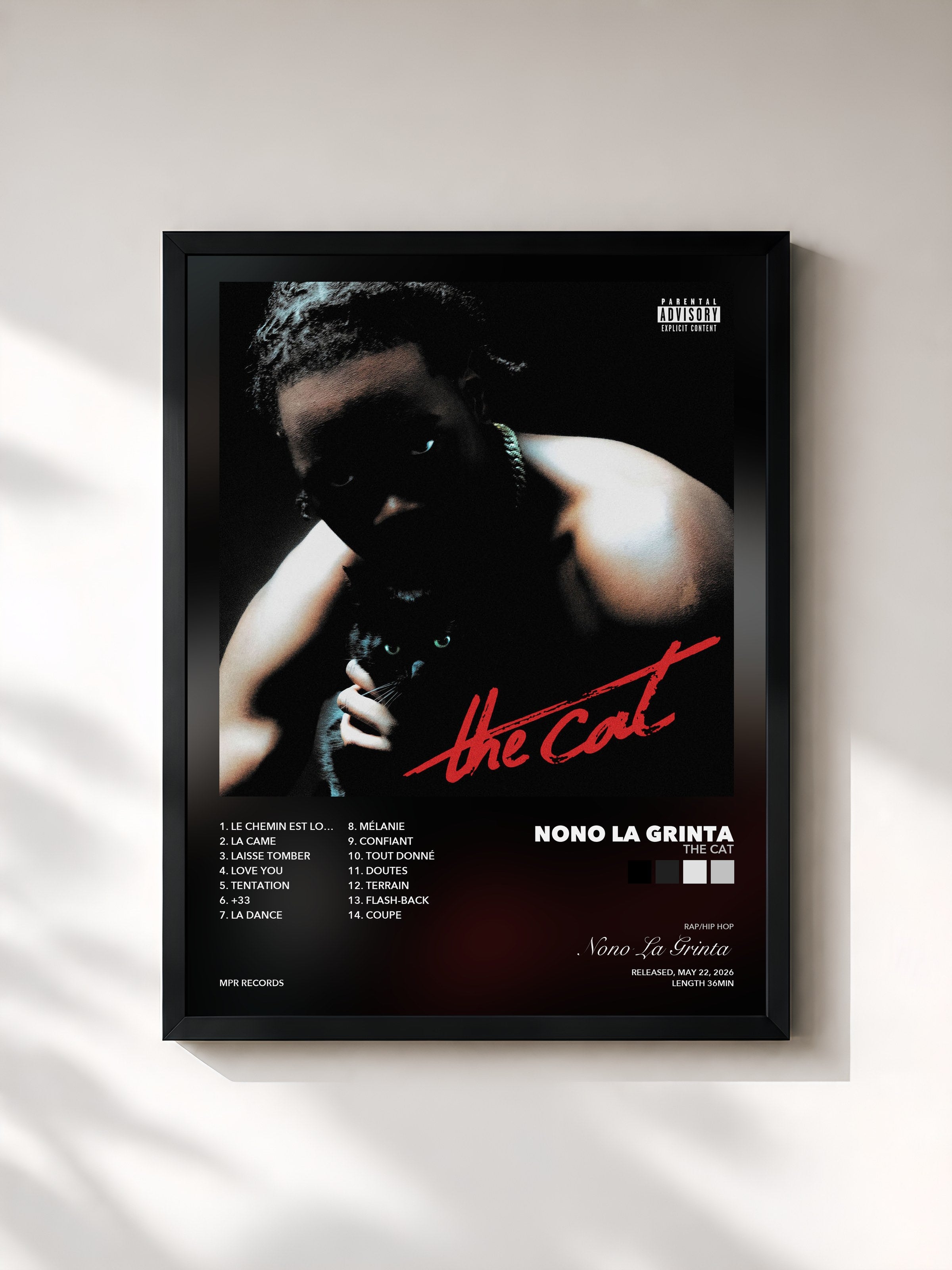 Nono La Grinta – The cat