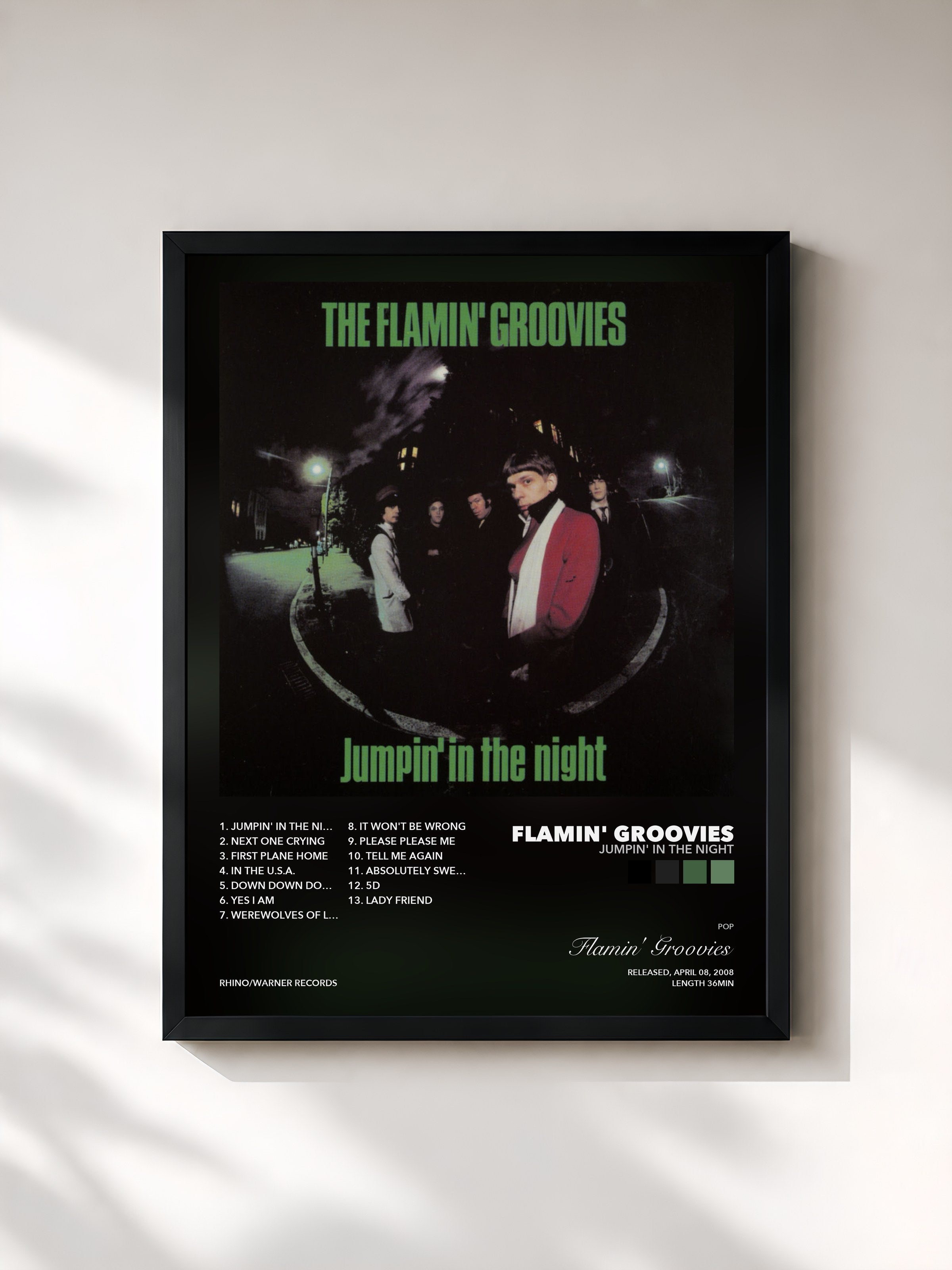 Flamin' Groovies – Jumpin' In The Night