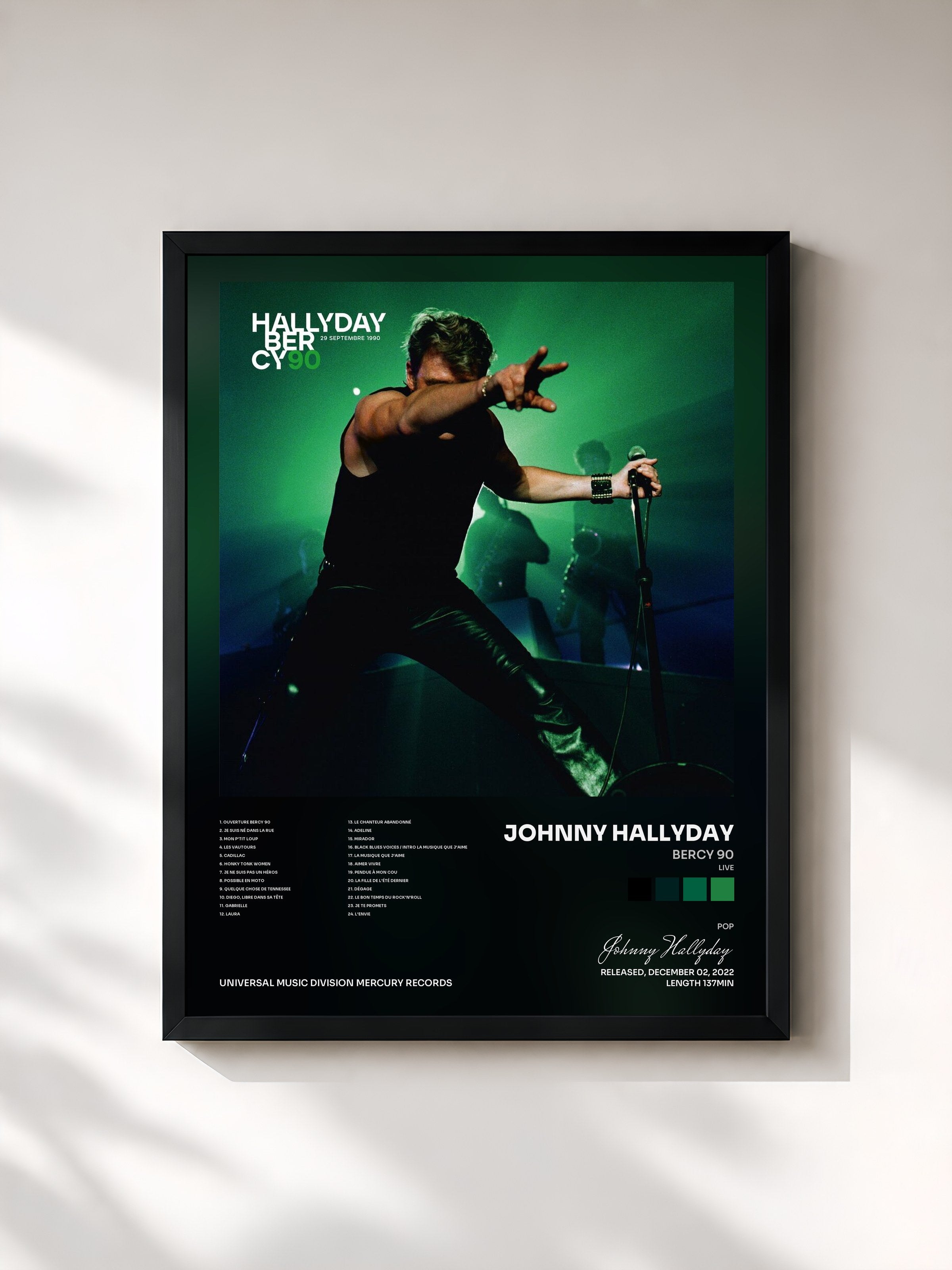 Johnny Hallyday · Bercy 90 (Live)