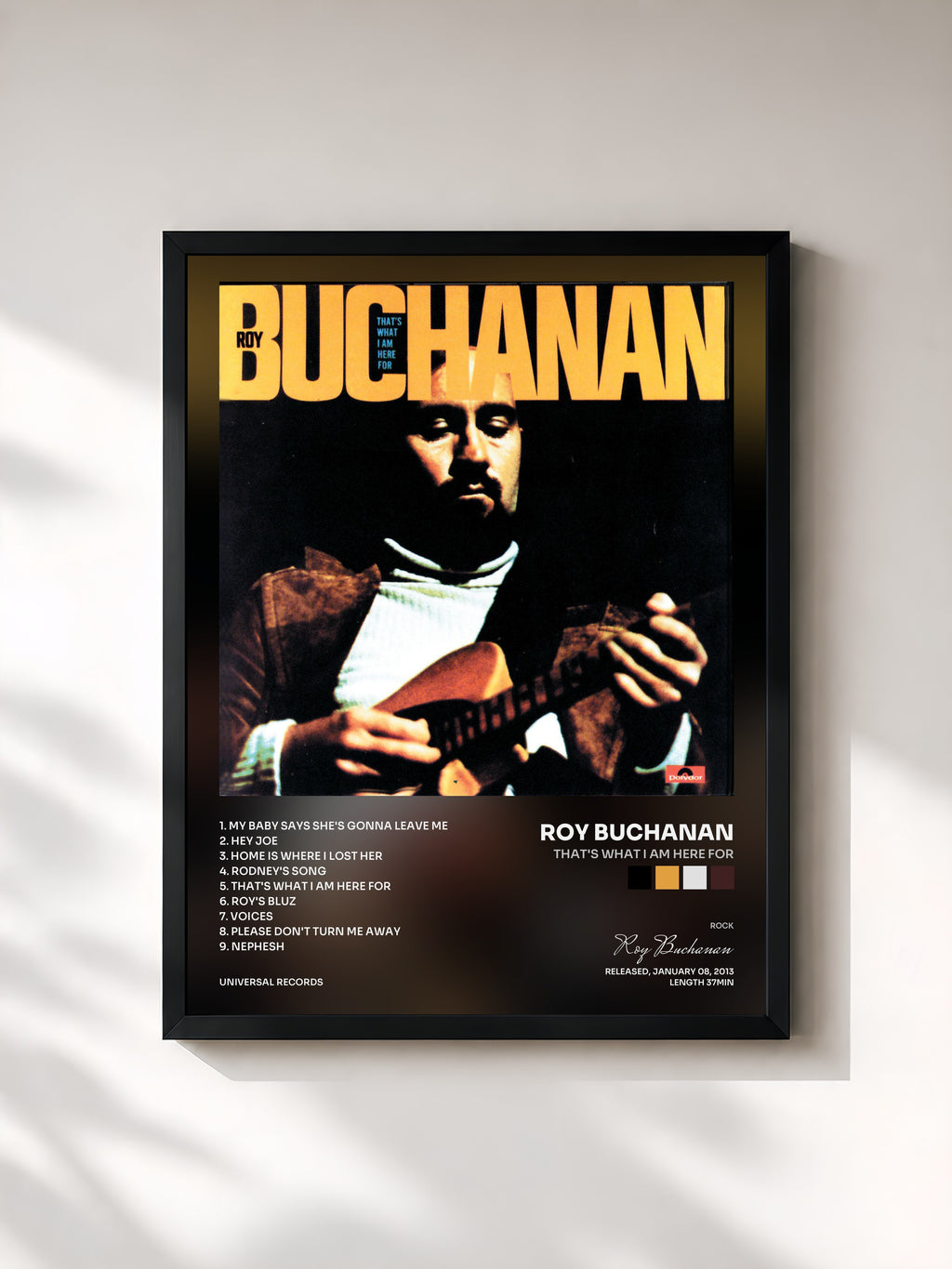 Roy Buchanan · That's What I Am Here For